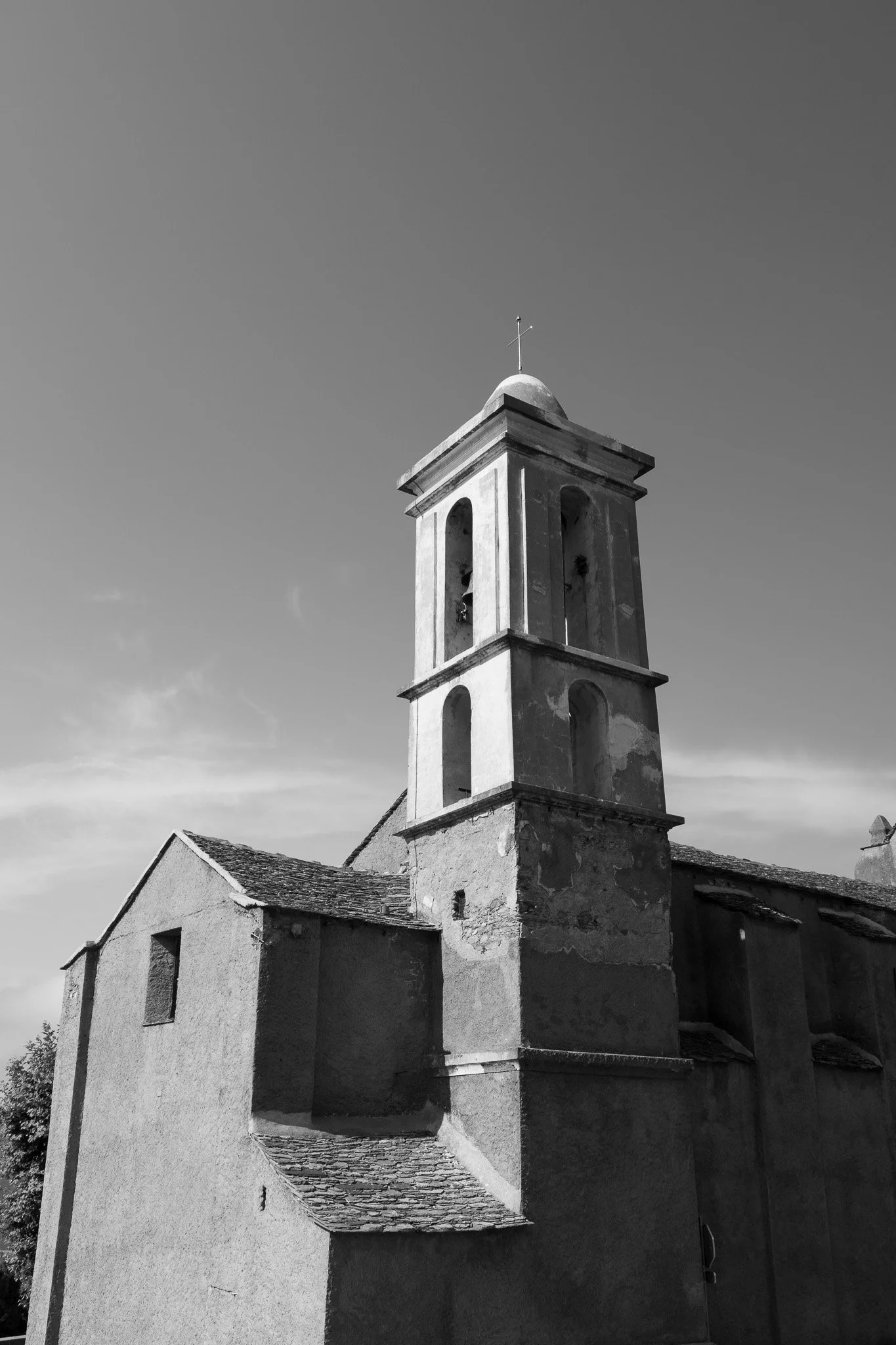 DSC_3796.jpg