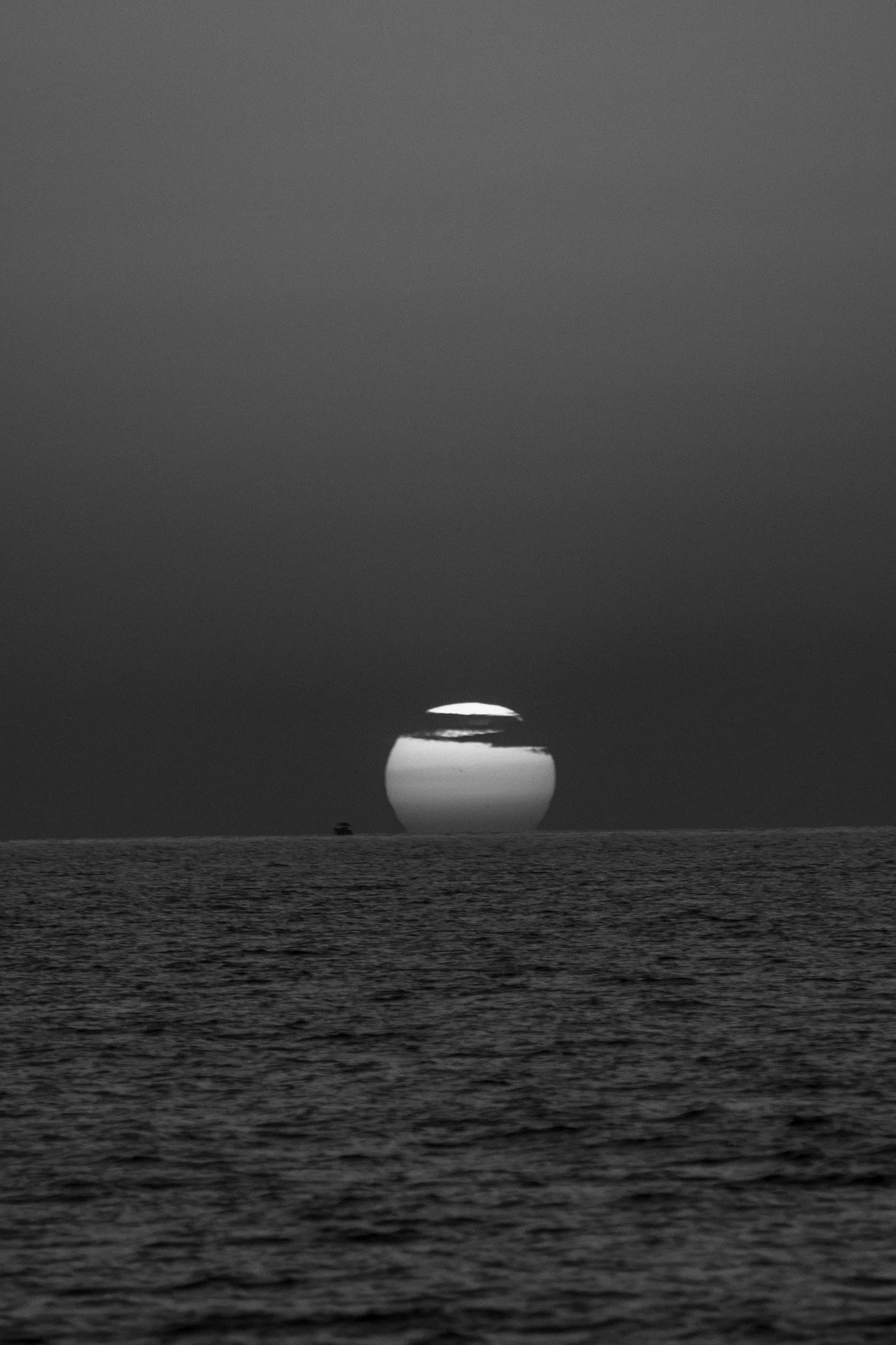 DSC_6615.jpg