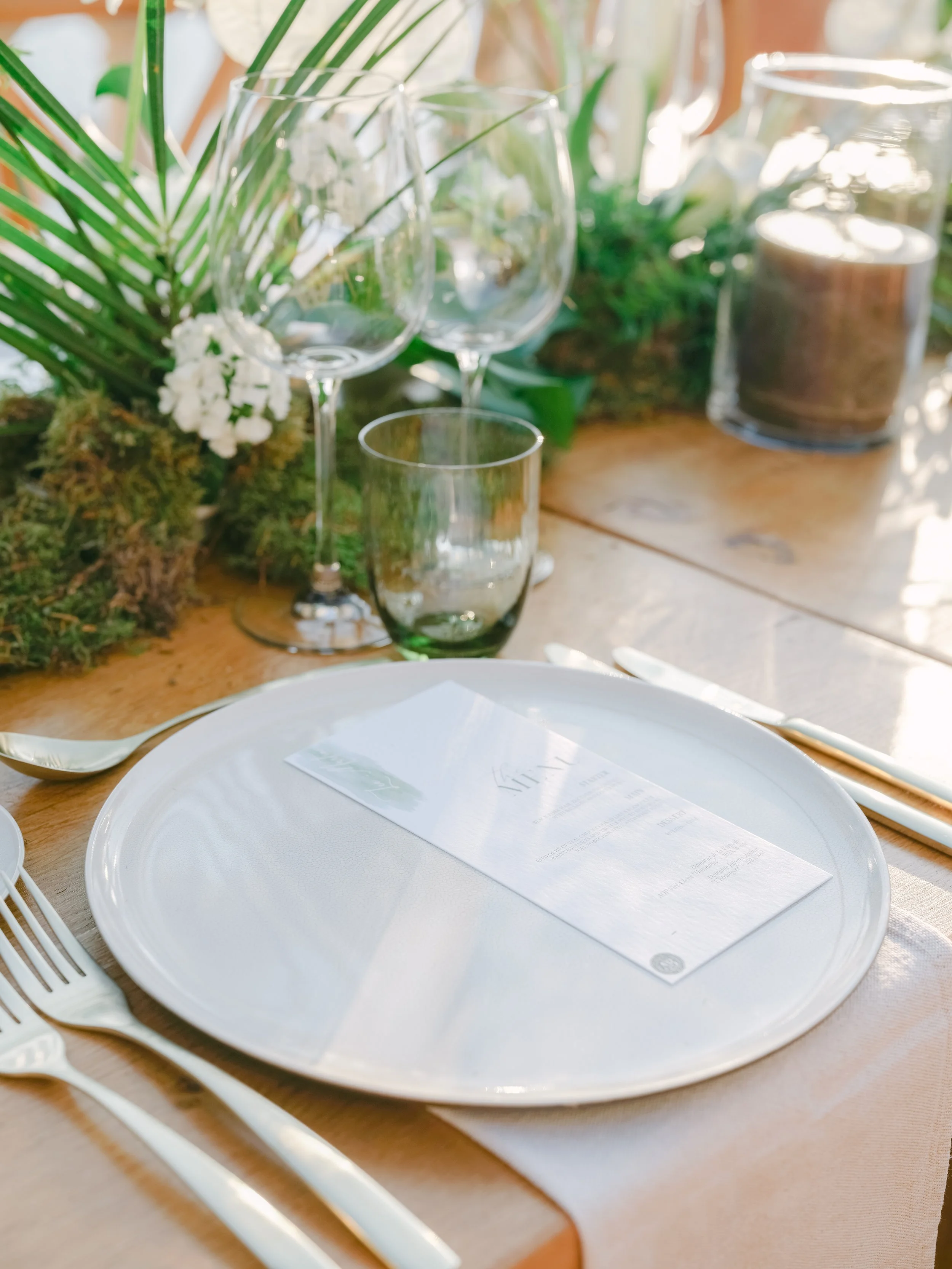 WeddingA&B-Cocktail-134.jpg