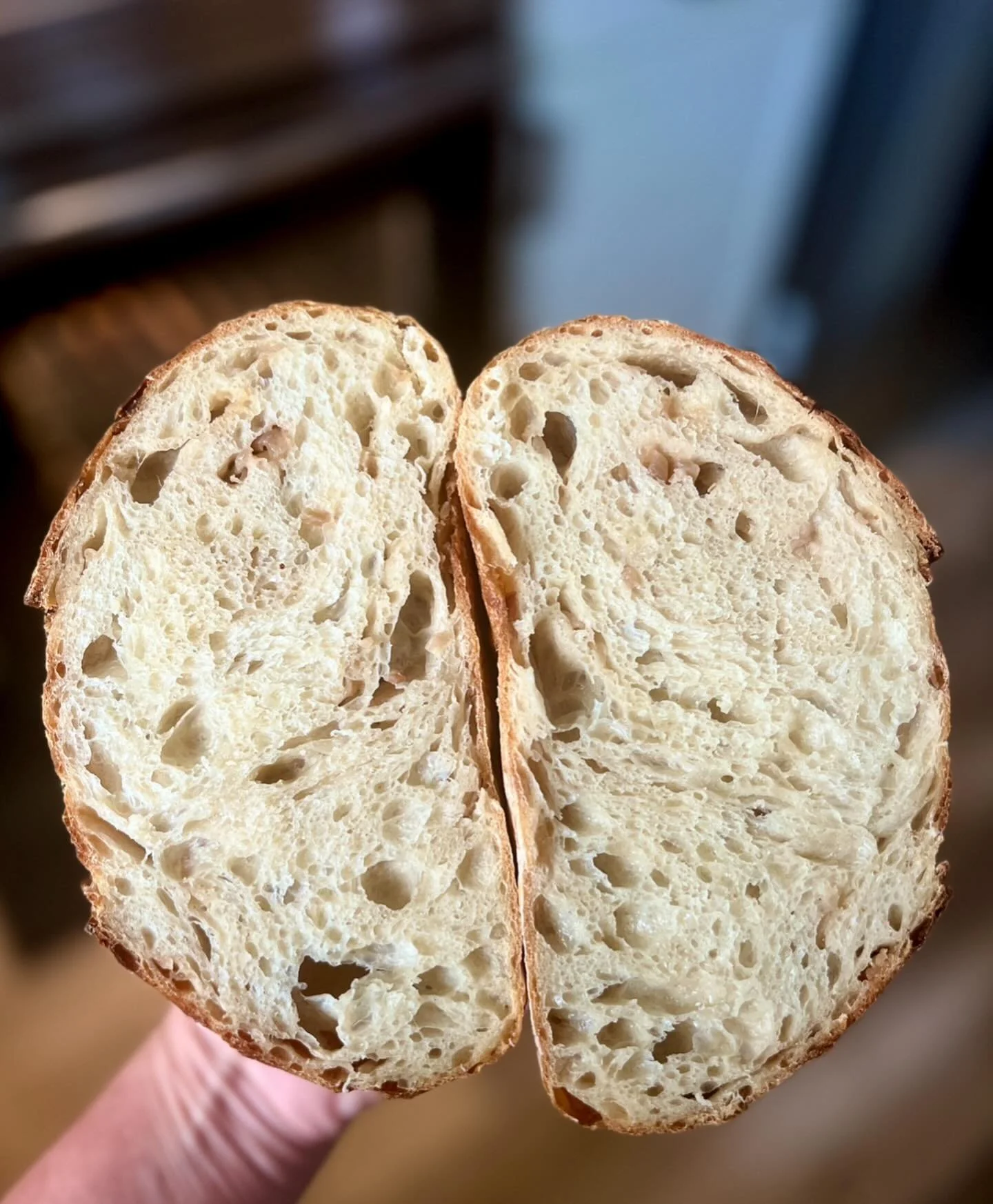 French Onion Sourdough