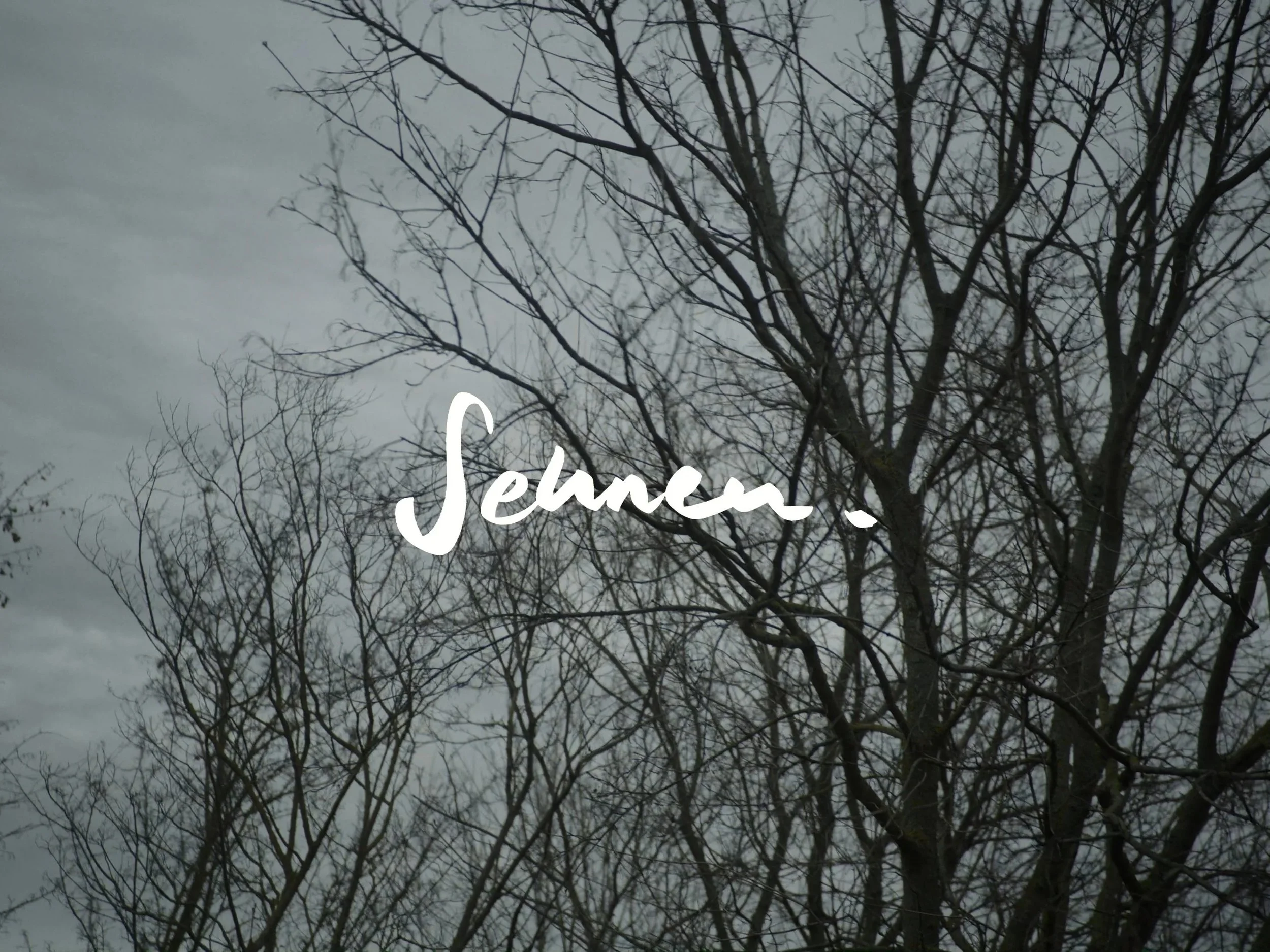 Short Film: Sehnen