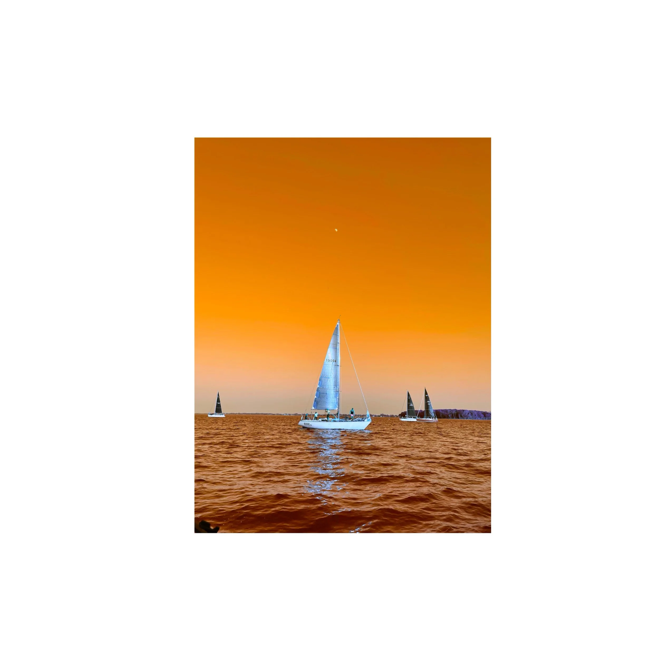 Sail away, 2026 (Limited Edition Luster Print)