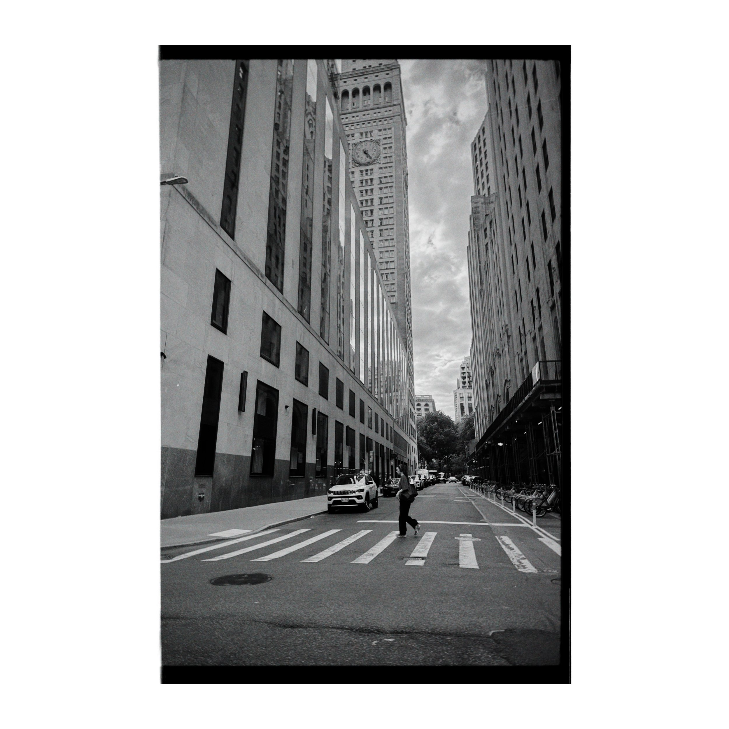 Whitagram-Image.jpeg