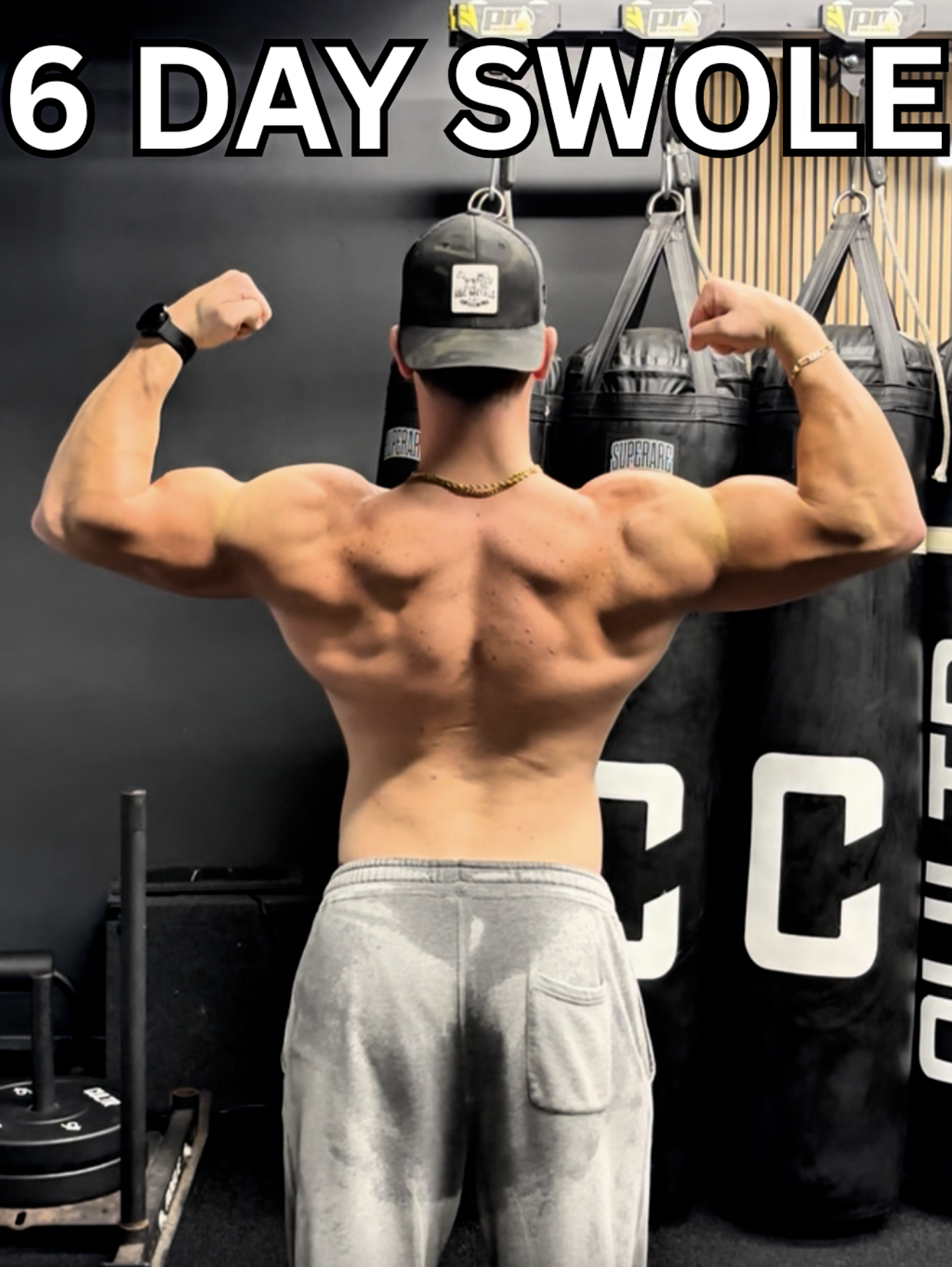 6 DAY SWOLE