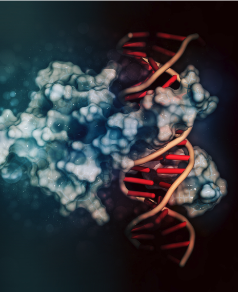 New Single-Cell Method for Mapping DNA-Protein Interactions