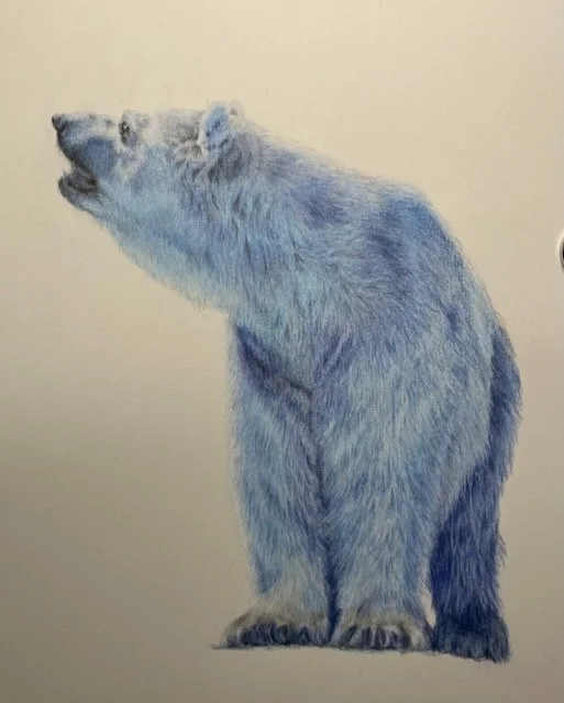 Polar Bear. From a workshop with Bonny Snowdon. Photo reference Pexels