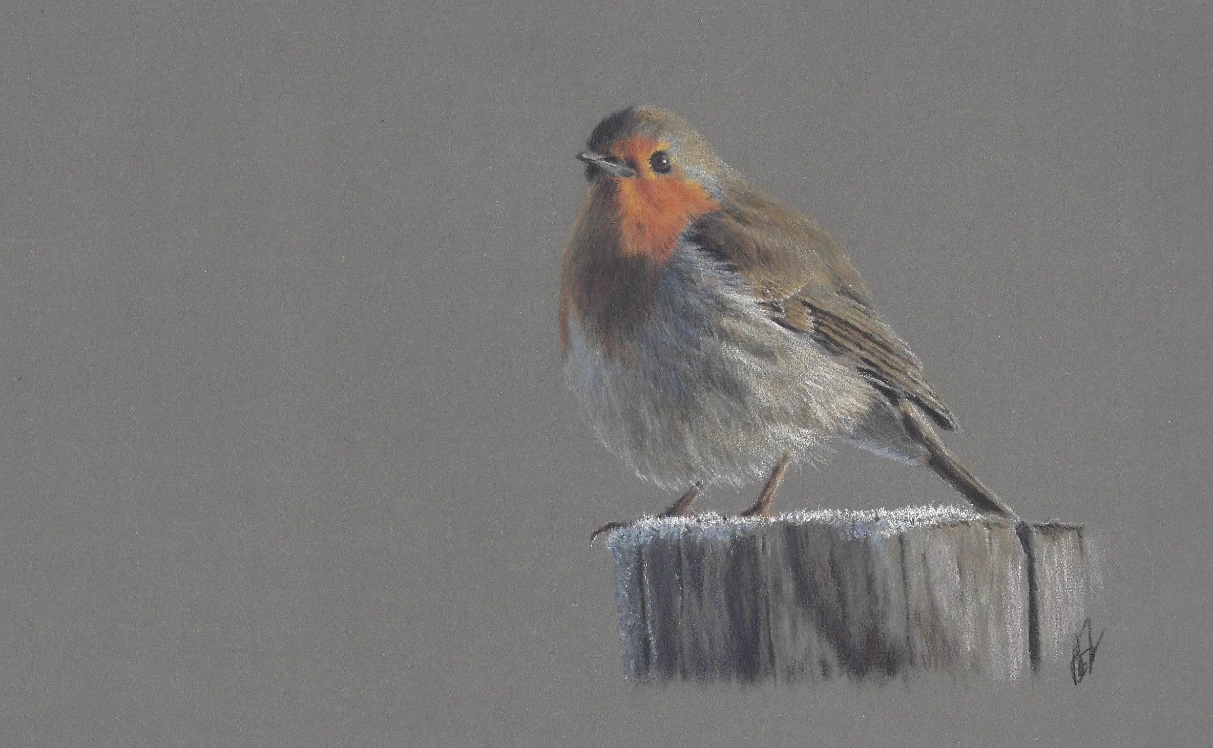 Christmas European Robin. From a workshop with Bonny Snowdon.  Photo credit Pexels