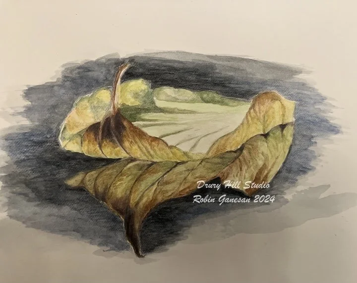Leaf Study