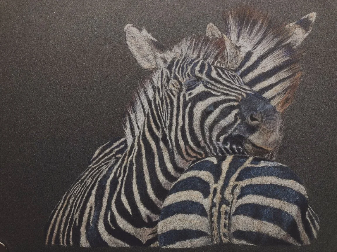 Zebras, from a workshop with Bonny Snowdon, photo credit Jill Ann Price