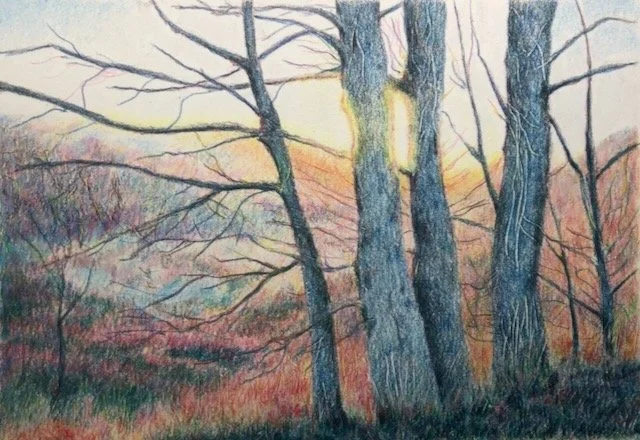 Created from the Sunrise tutorial by Pat Averill.  