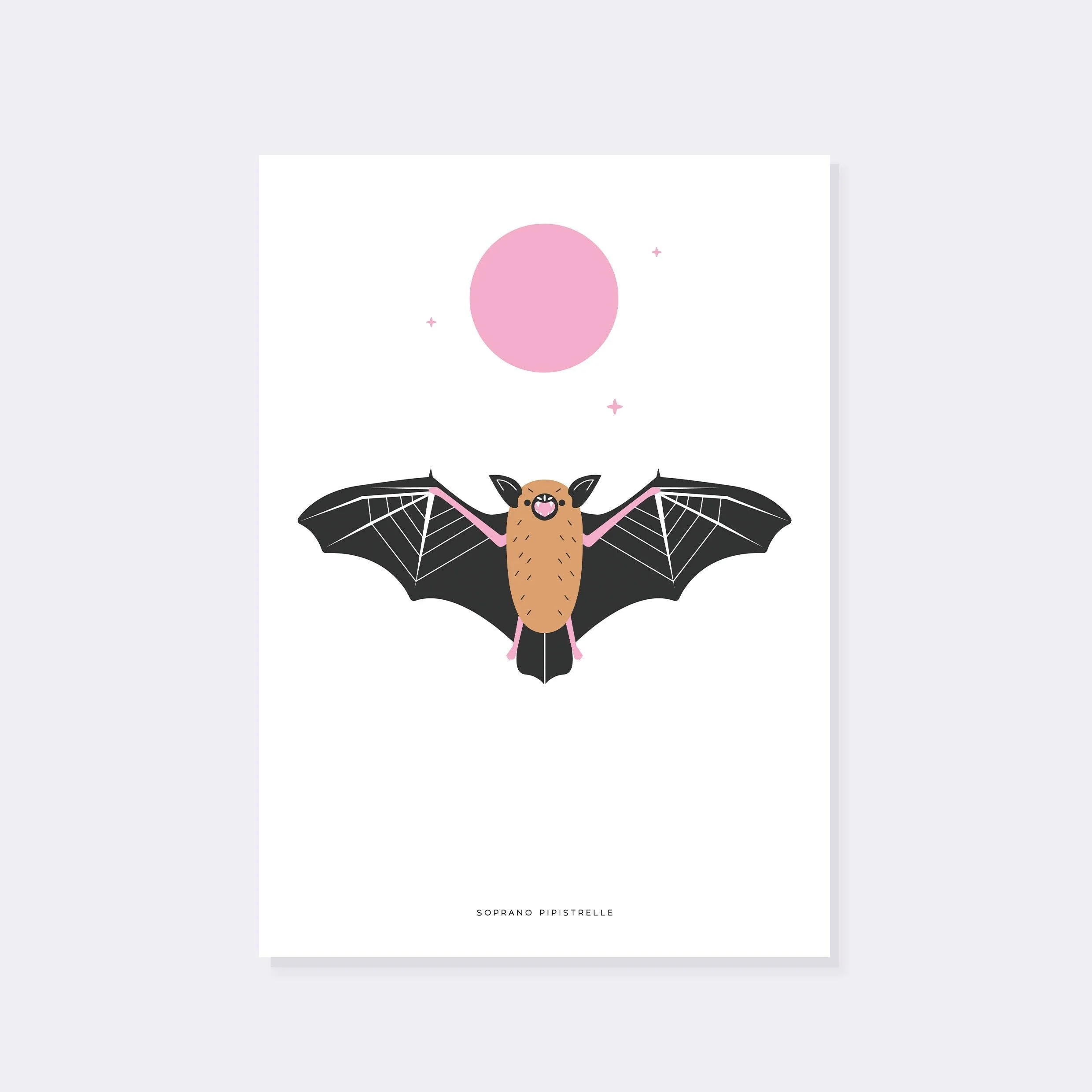 Bat Soprano Pipistrelle A3 print