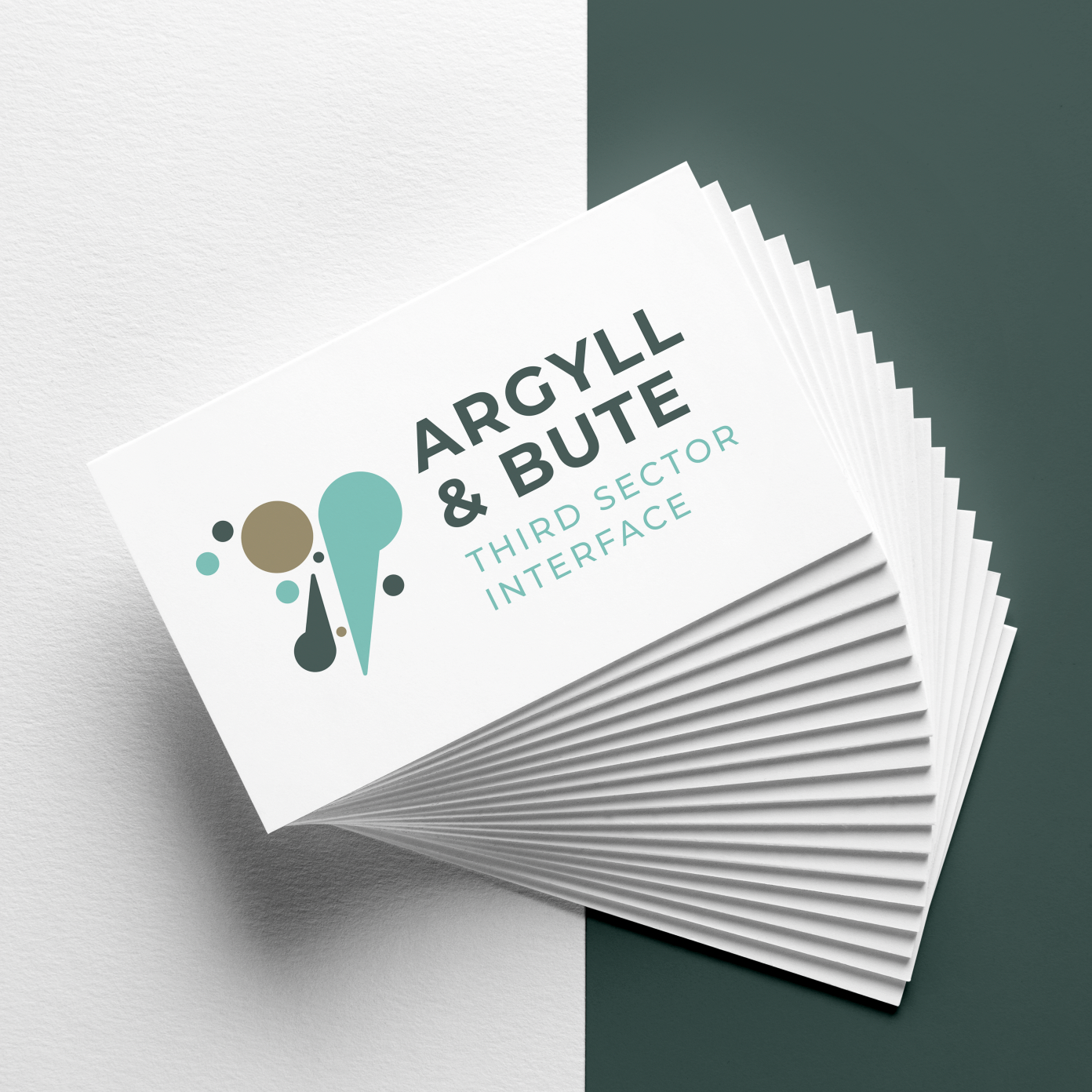Business card with the text 'Argyll & Bute Third Sector Interface' and a logo with colored circles and shapes, placed on a surface with two-tone background.