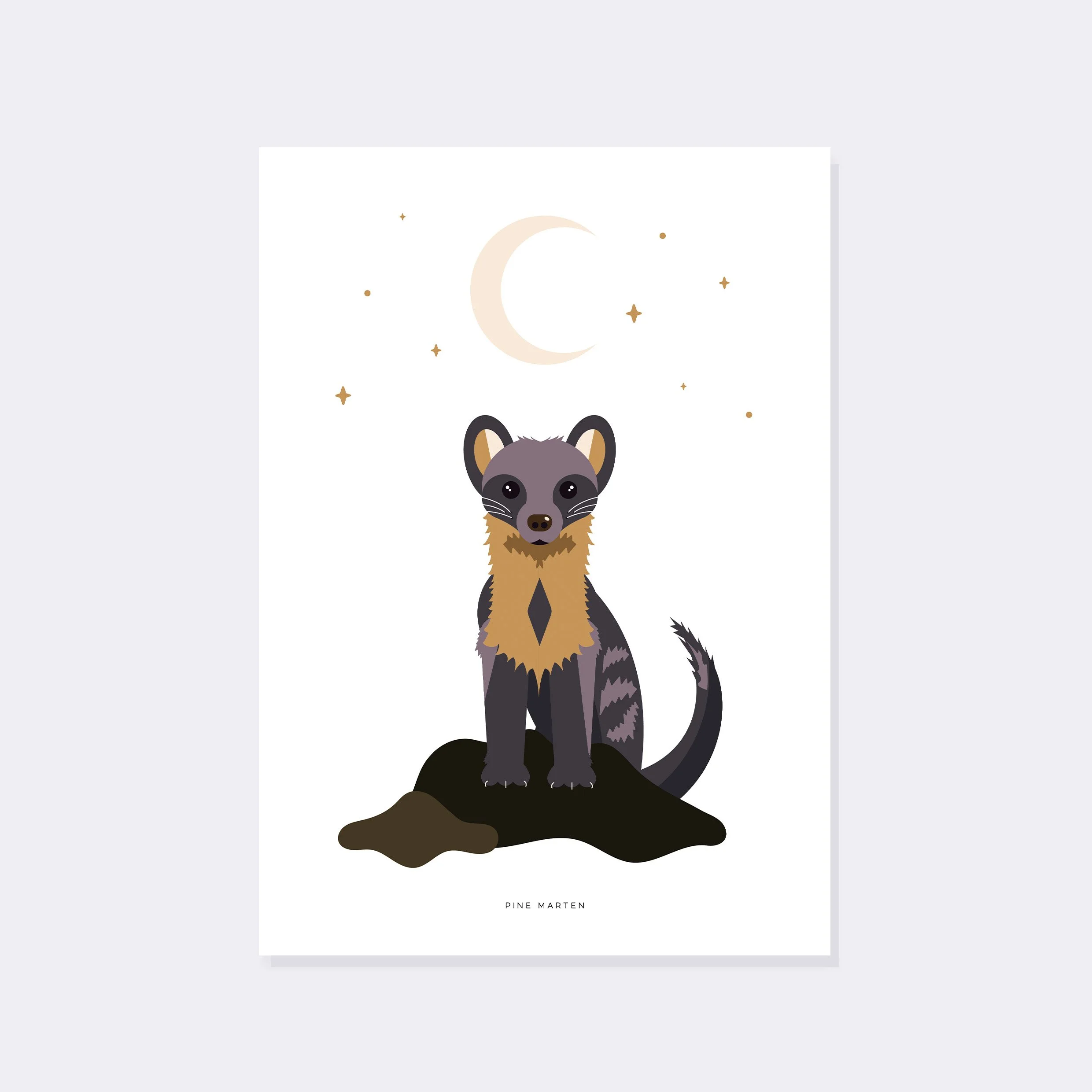 Pine Marten A3 print
