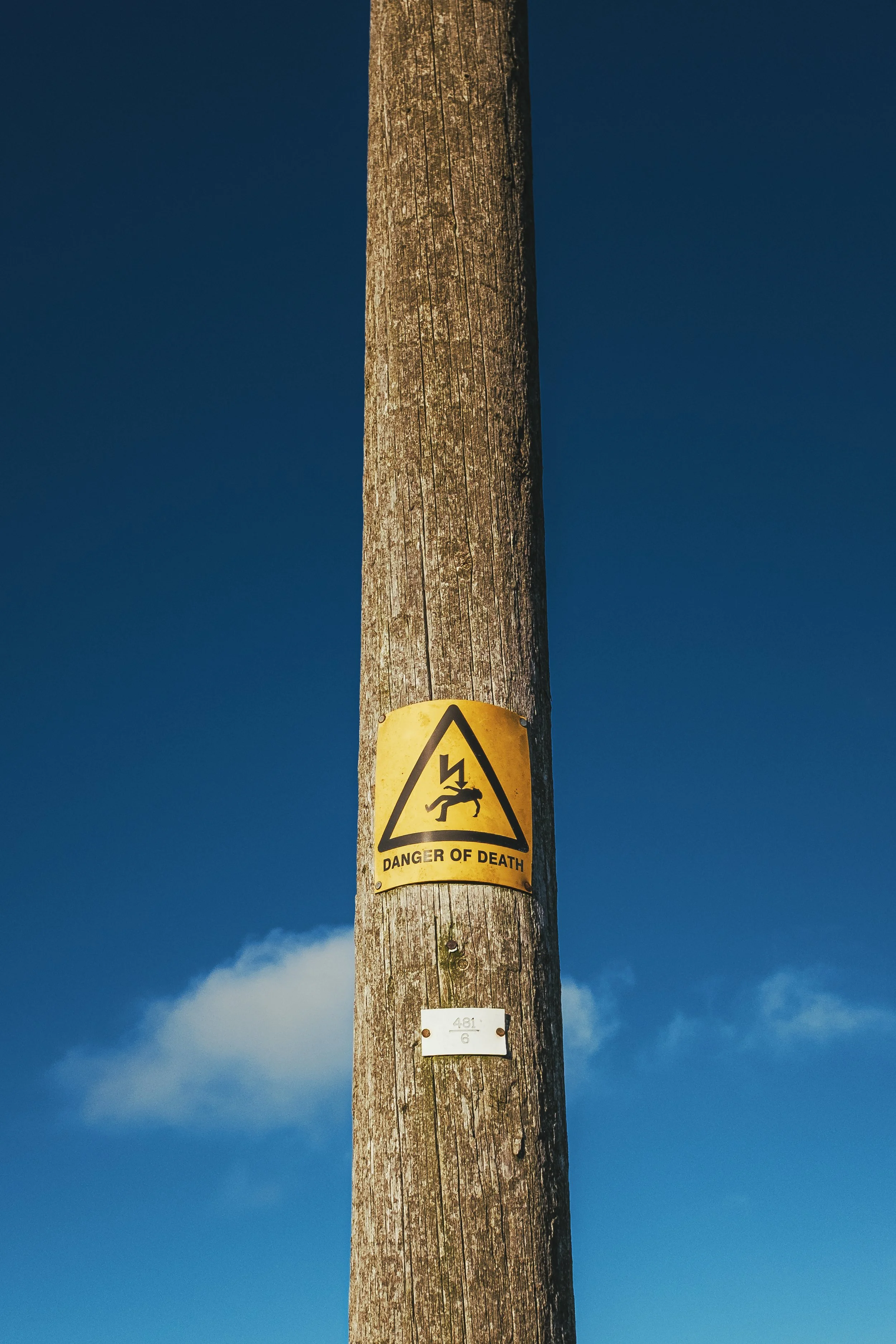 Things You Notice When You Walk