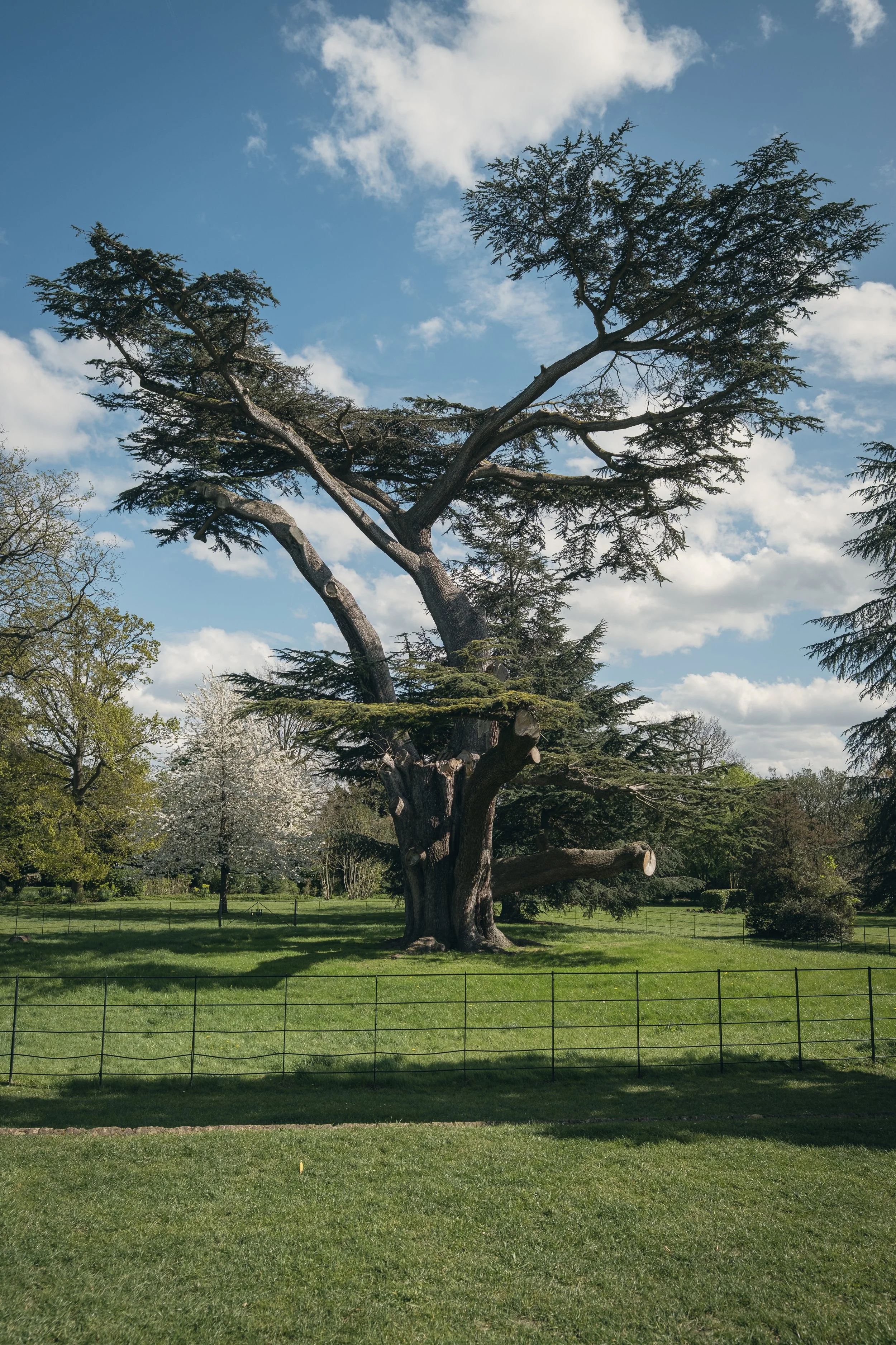 Mindful Photography Walk: Mental Health Awareness Week