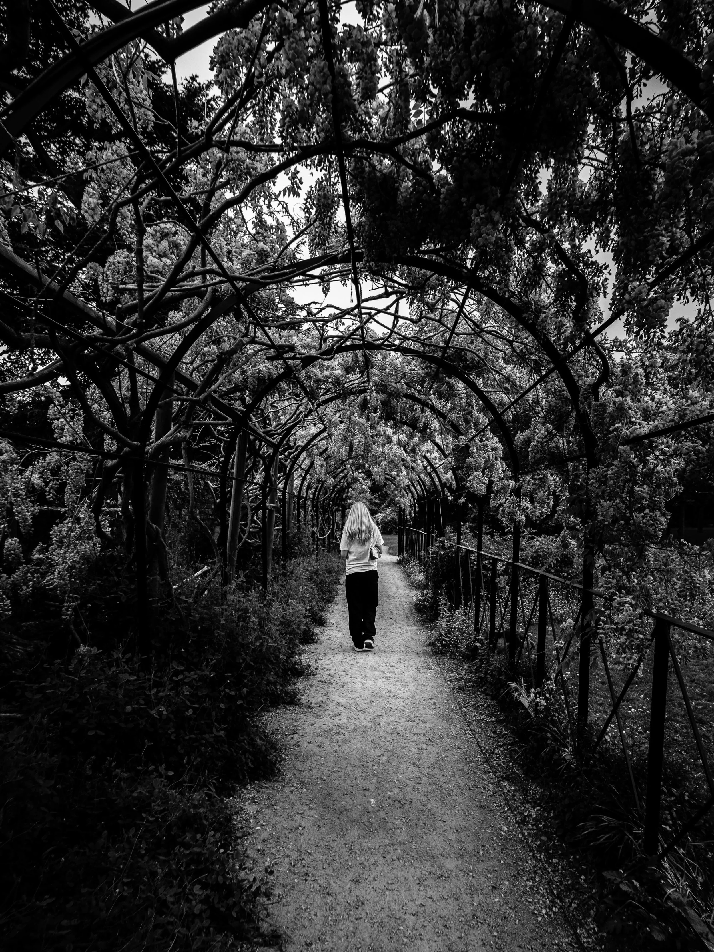 Freedom begins the moment you question where you&rsquo;re being led. #blackandwhitephotography
#moodygrams
#visualpoetry
#monochromephotography
#fujifilmuk