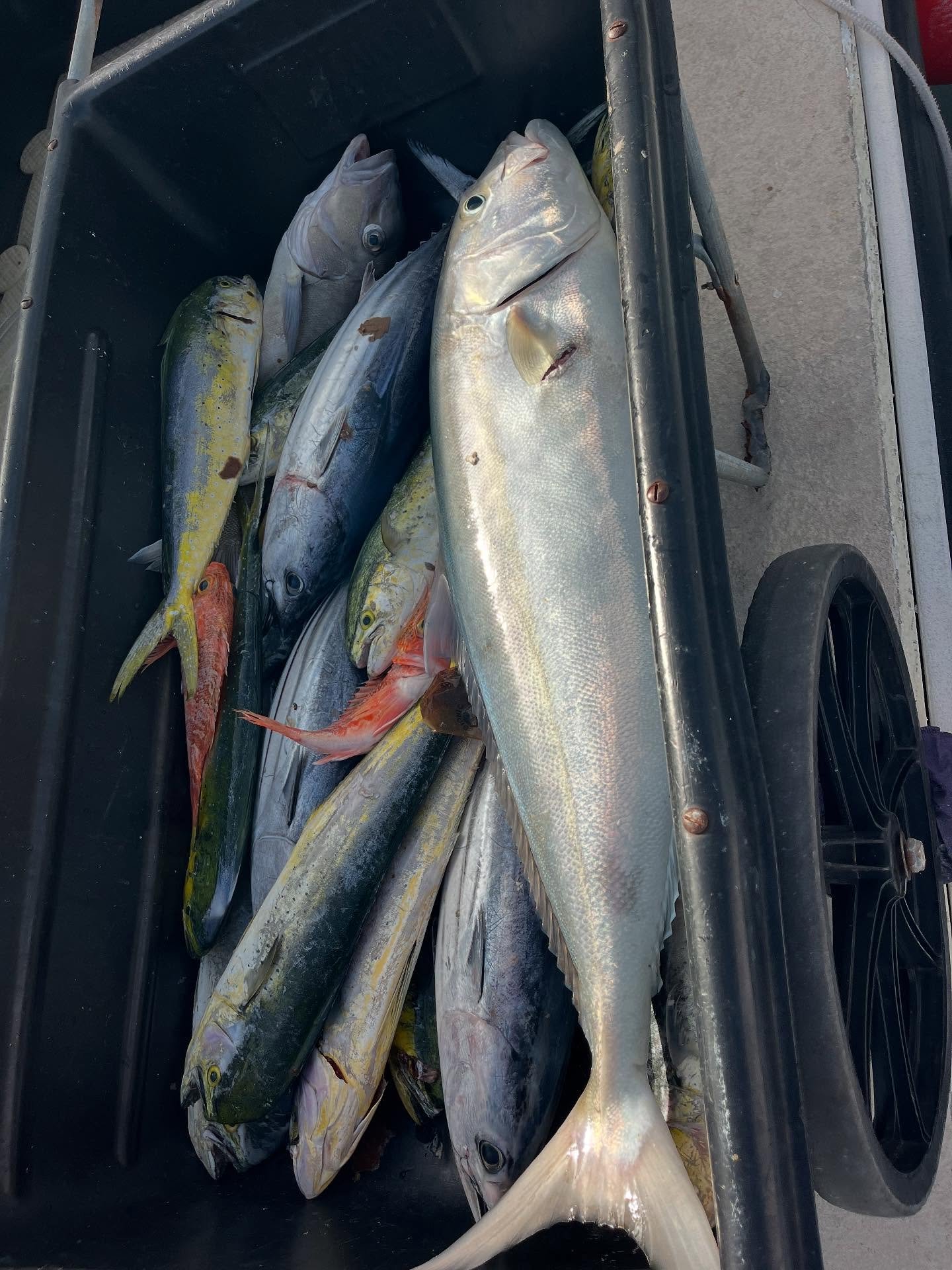 Another great day