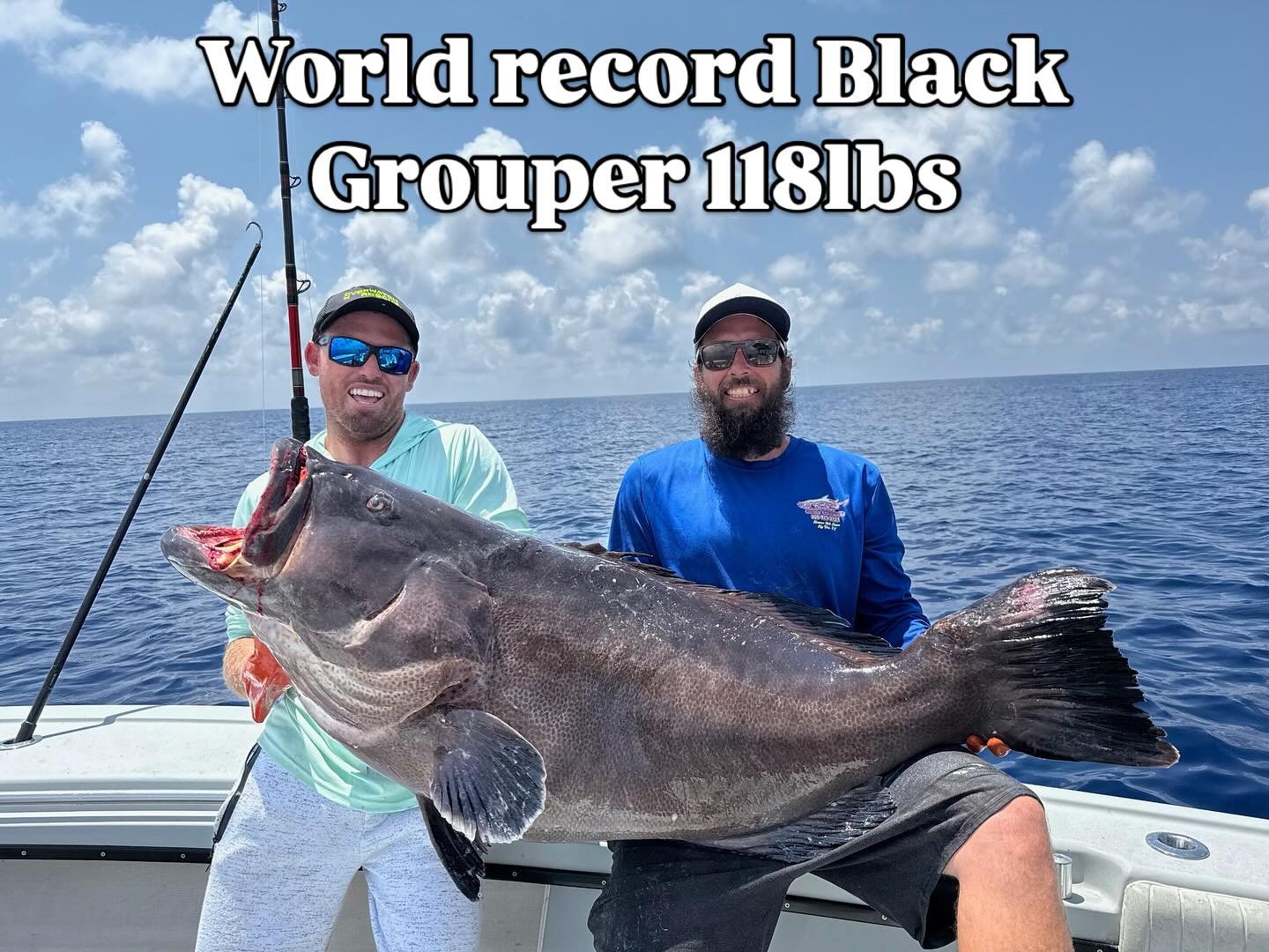 Landed on Fishing Freeman Key West. Potential world record 118lb Black Grouper. 

#worldrecordfish #blackgrouper #grouperrecord #fishing