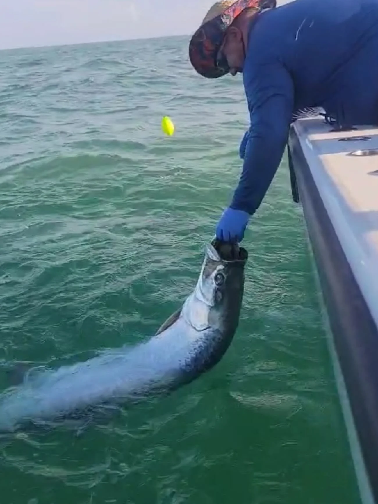 One of the most acrobatic fish to catch in the ocean. Book a tarpon trip today! 

#tarpon