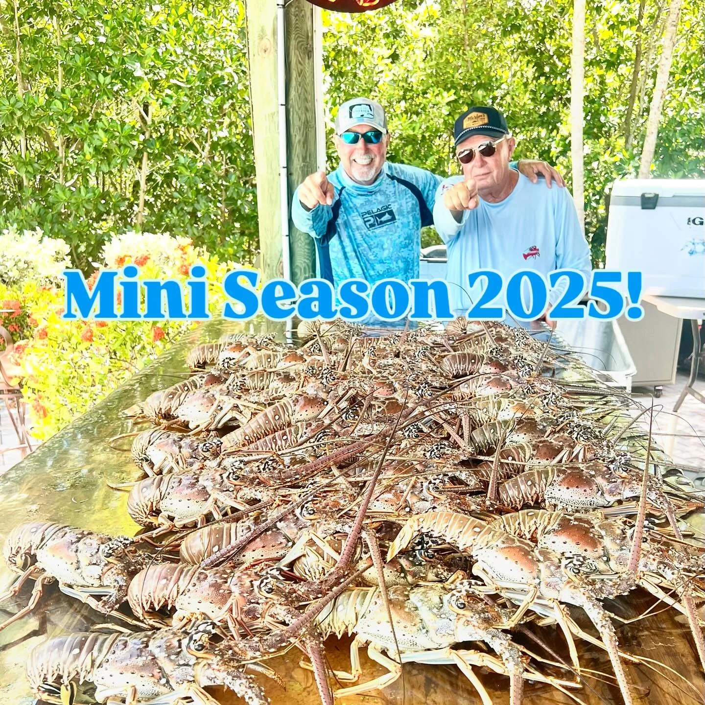 Mini Season 2025 off to a great start! 

#miniseason #lobster