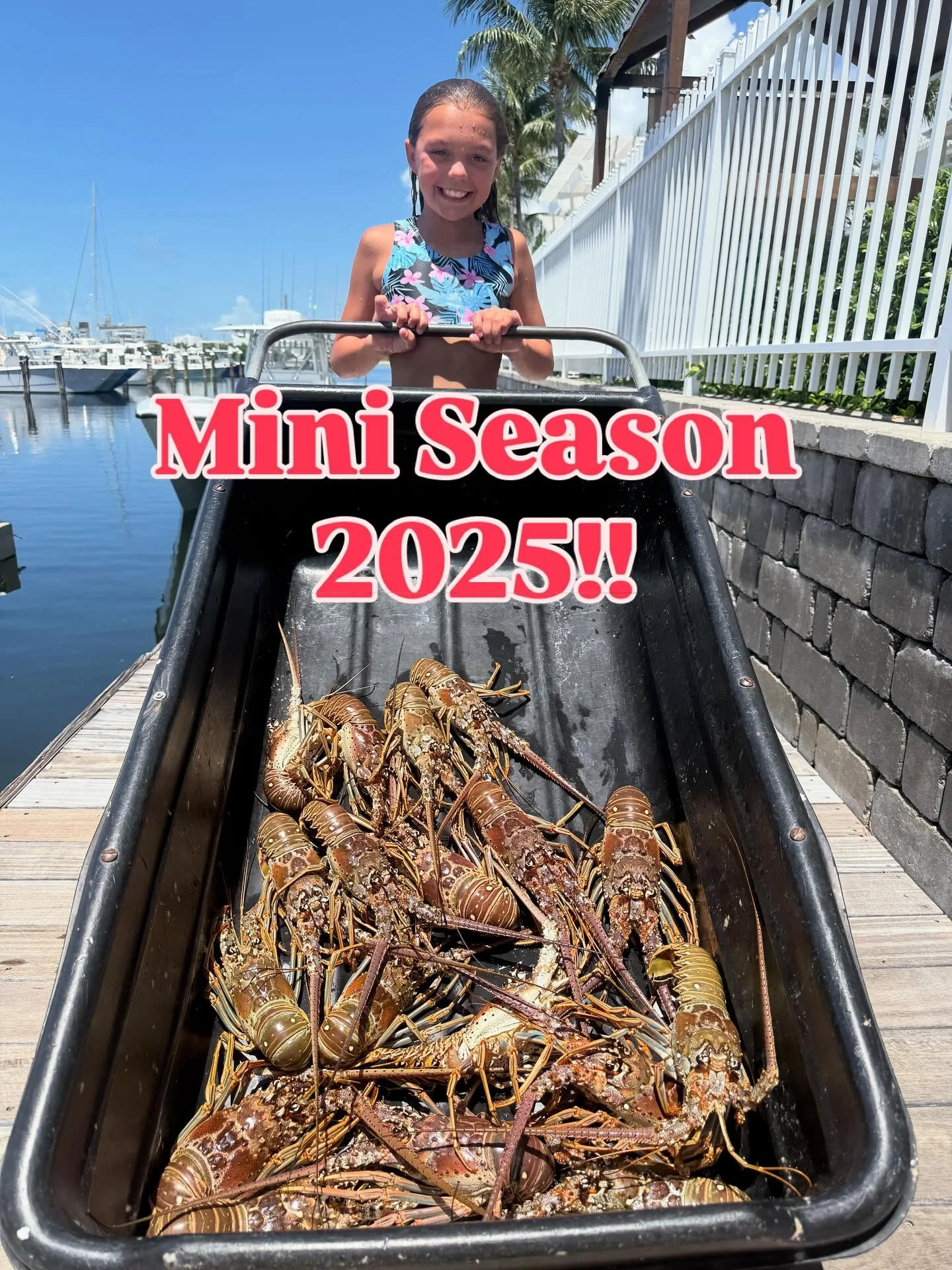 Mini season off to a great start! #lobster