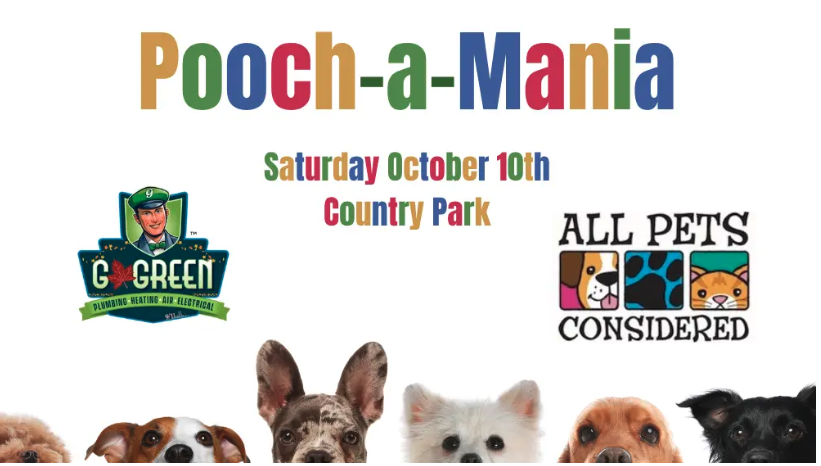 Pooch-A-Mania