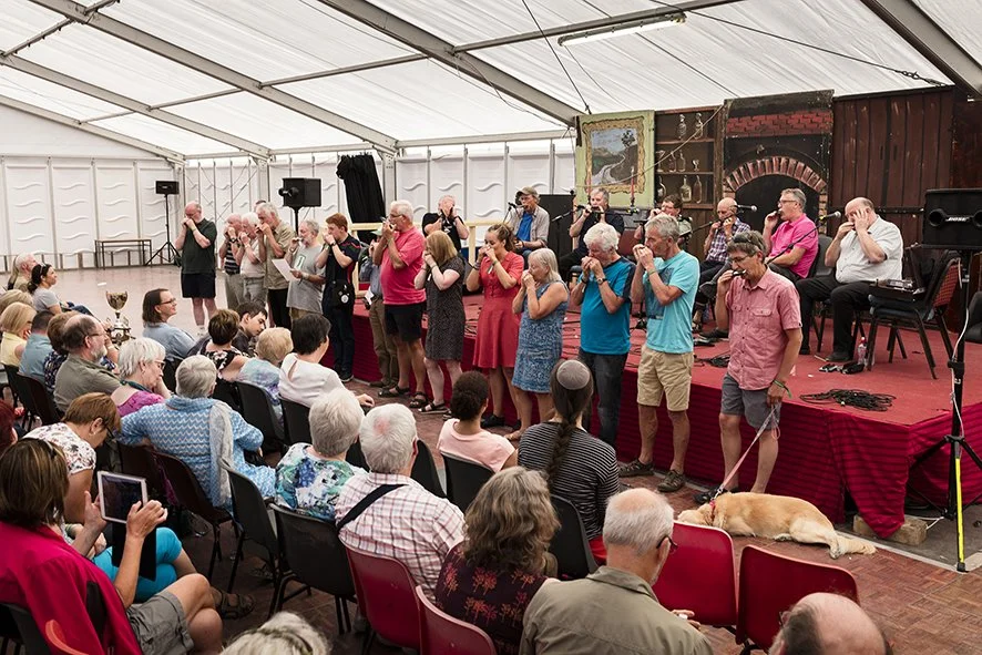 The ensemble at the harmonica recital.