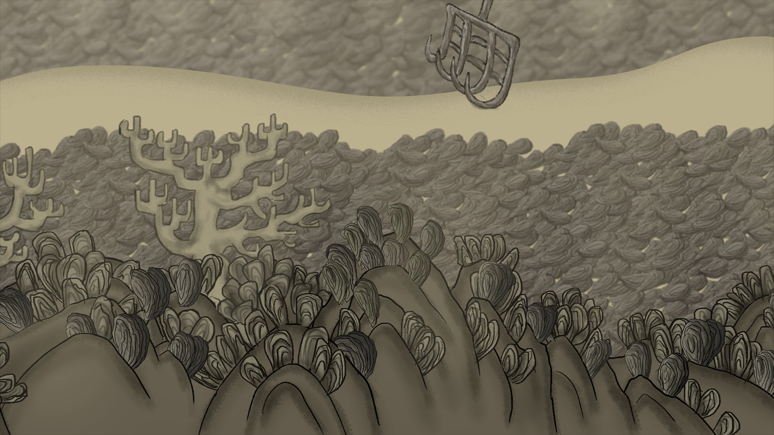 Oysters — City of Shells: Our Forgotten Oyster Reefs