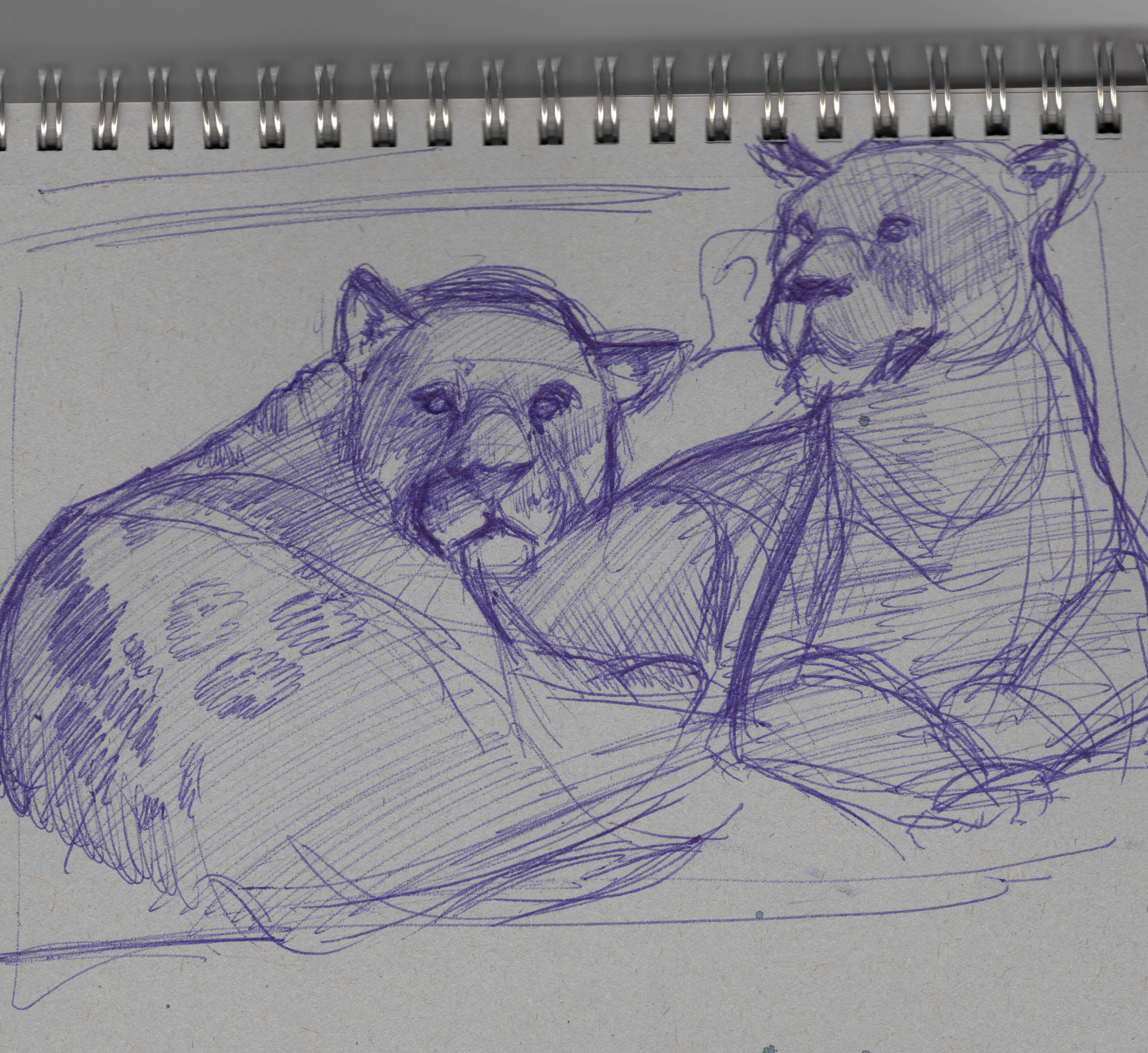 Sketch+3.png