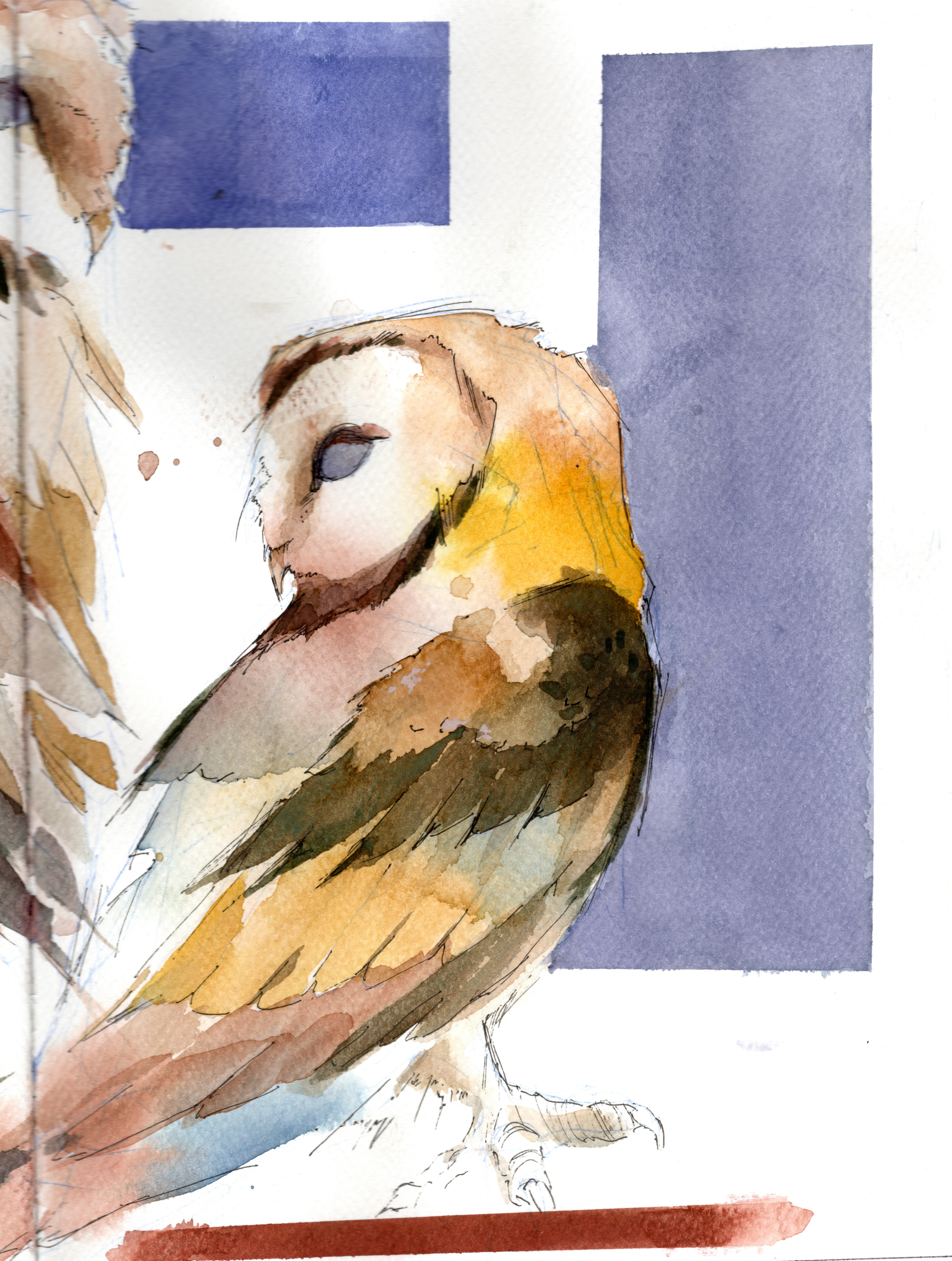 BIRD+III.png