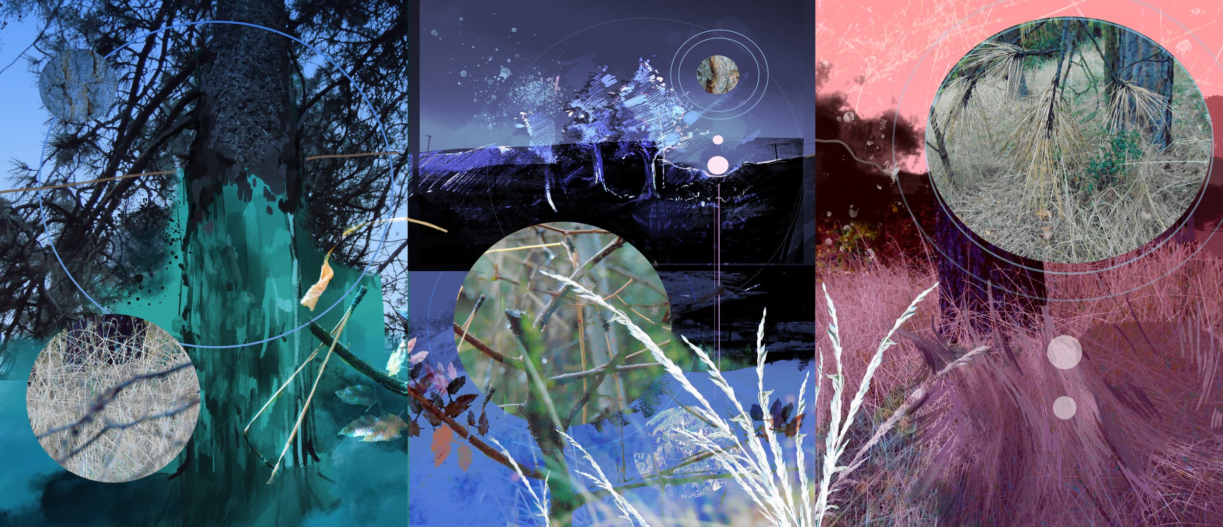 Popoca Jasmin Art 380 - Project 7.jpg