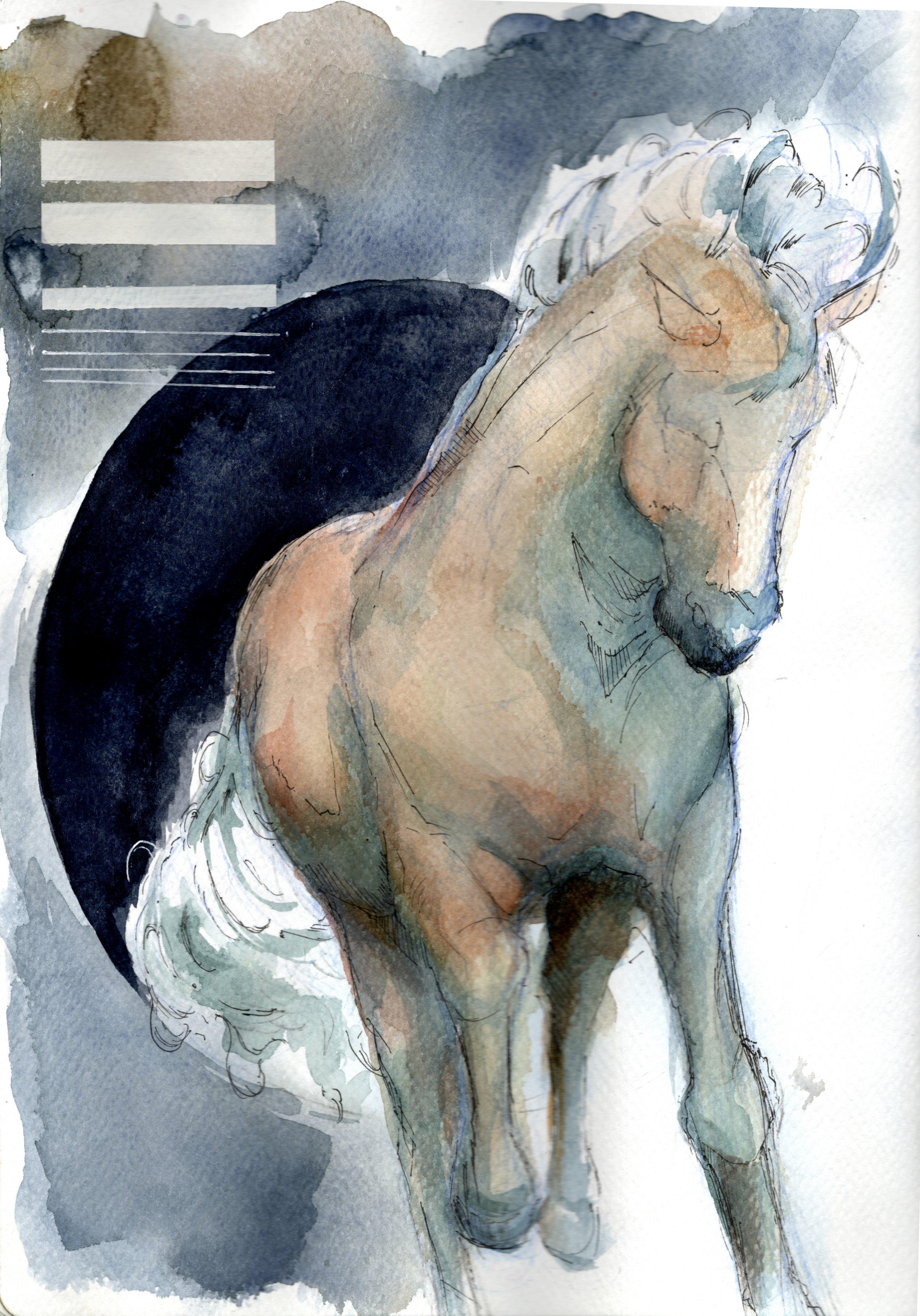 Pony in motion.png