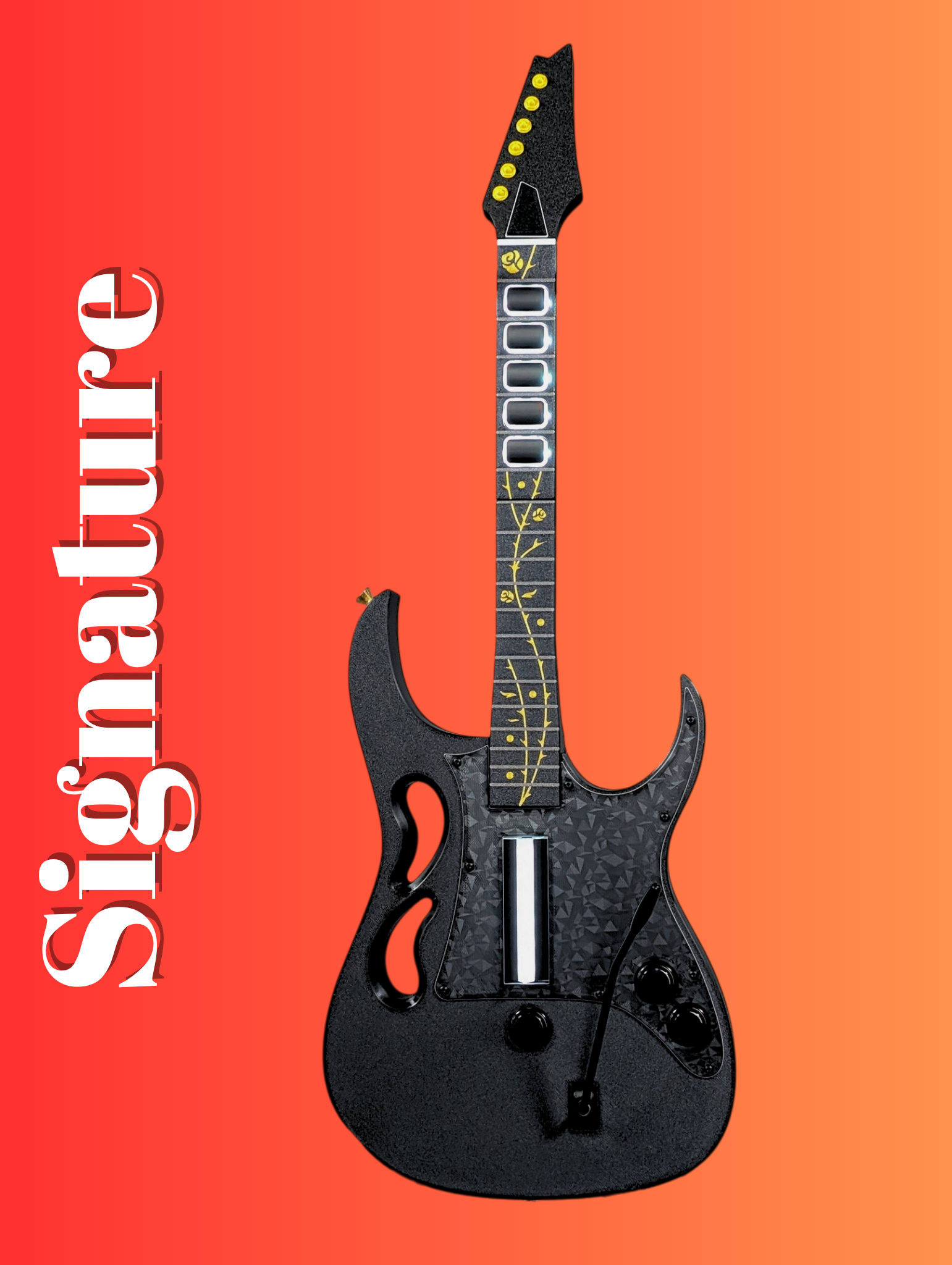 AIMS Signature Guitar