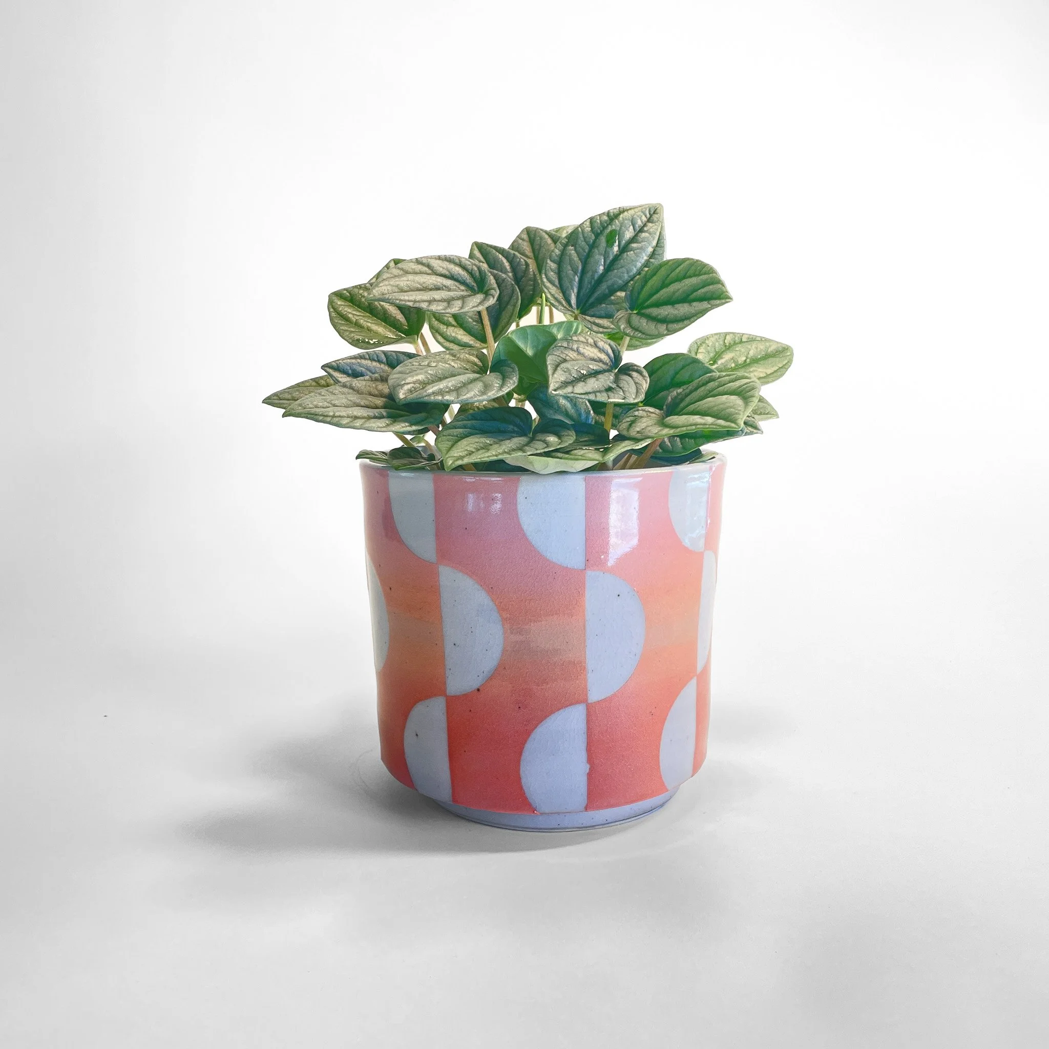 Half Moon Gradient Planter