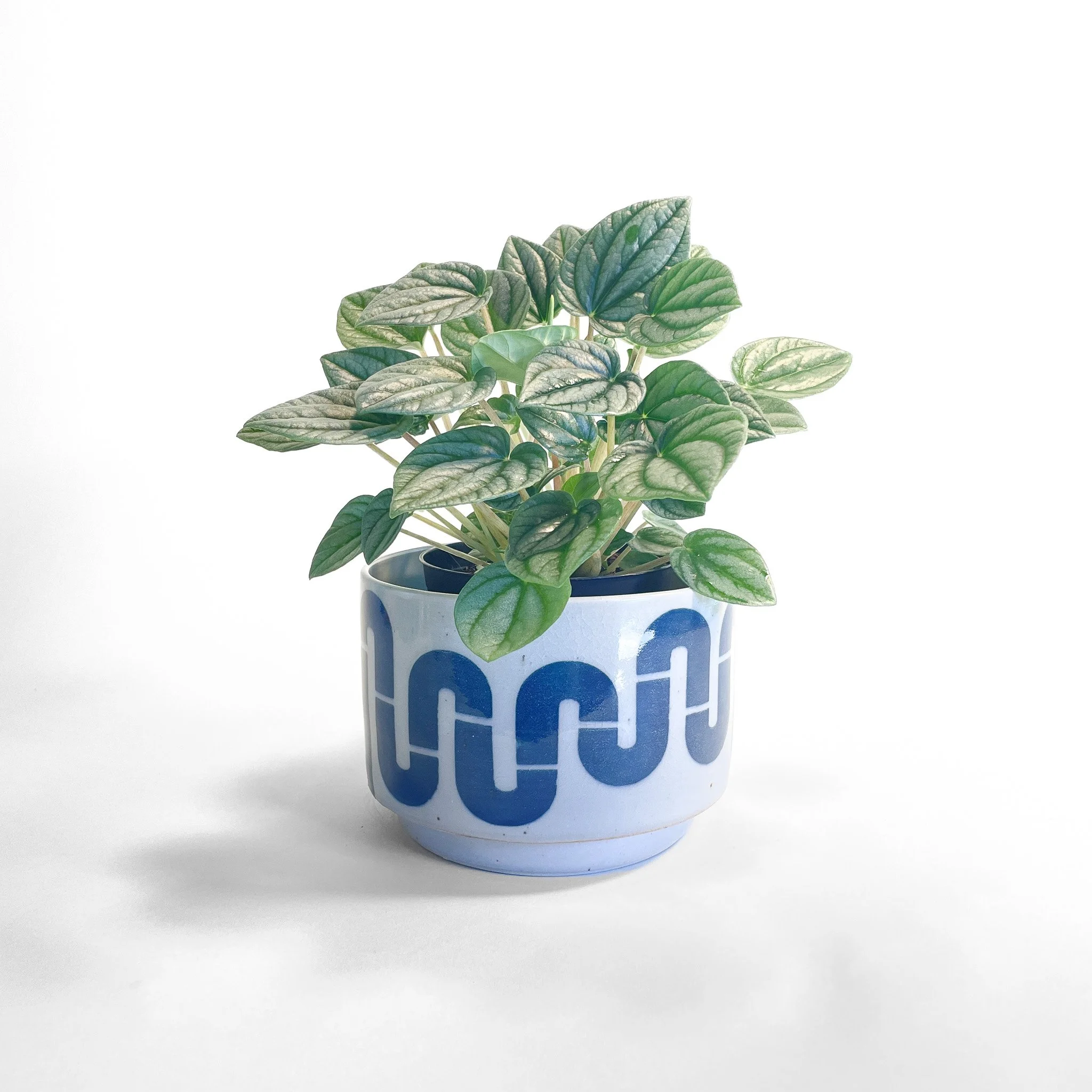 Pipe Squiggle Planter