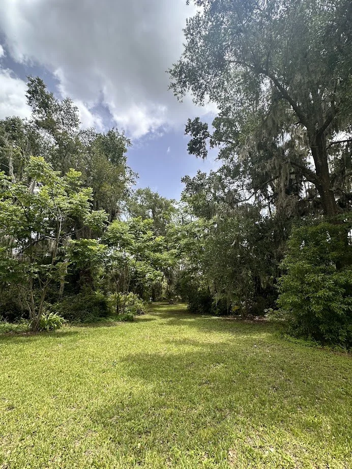 A grassy pathway bordered by tall trees with lush green foliage and a partly cloudy sky.
