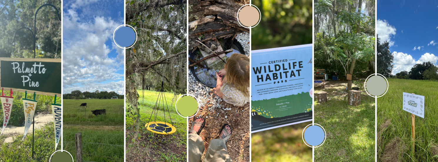 A collage of outdoor scenes with signs and nature: a sign for Palmetto Pine, grassy fields with cows, a yellow children's swing hanging from a tree, a child exploring a pond, a wildlife habitat certification sign, a shaded area with logs, and a sign for an apple trail.