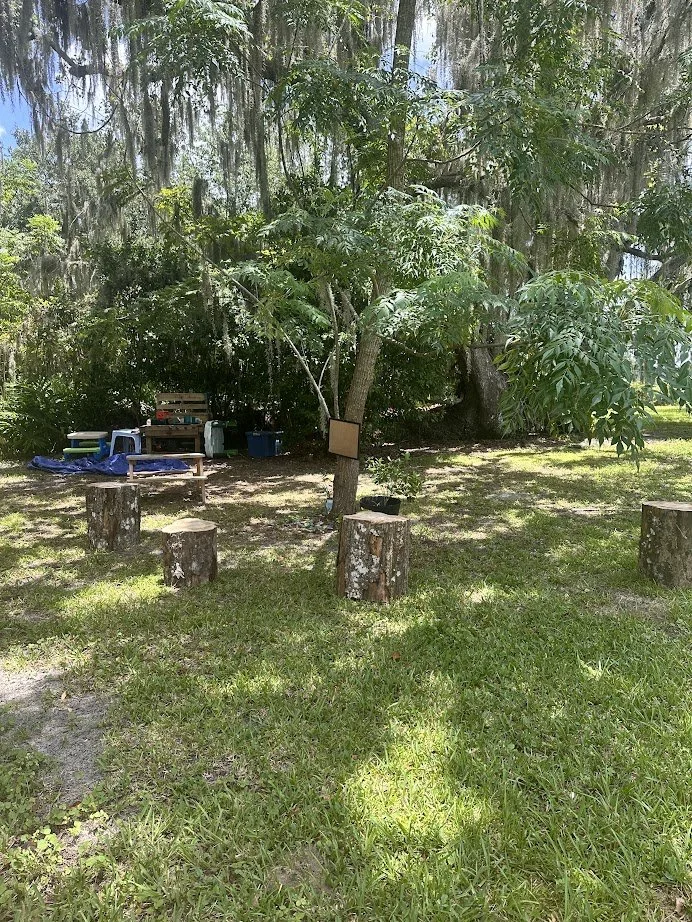 A small outdoor gathering area with five tree stumps arranged in a semi-circle on grassy ground. Behind the stumps, there is a small tree with a sign attached, a raised wooden platform with seating and supplies, and dense greenery with hanging moss a
