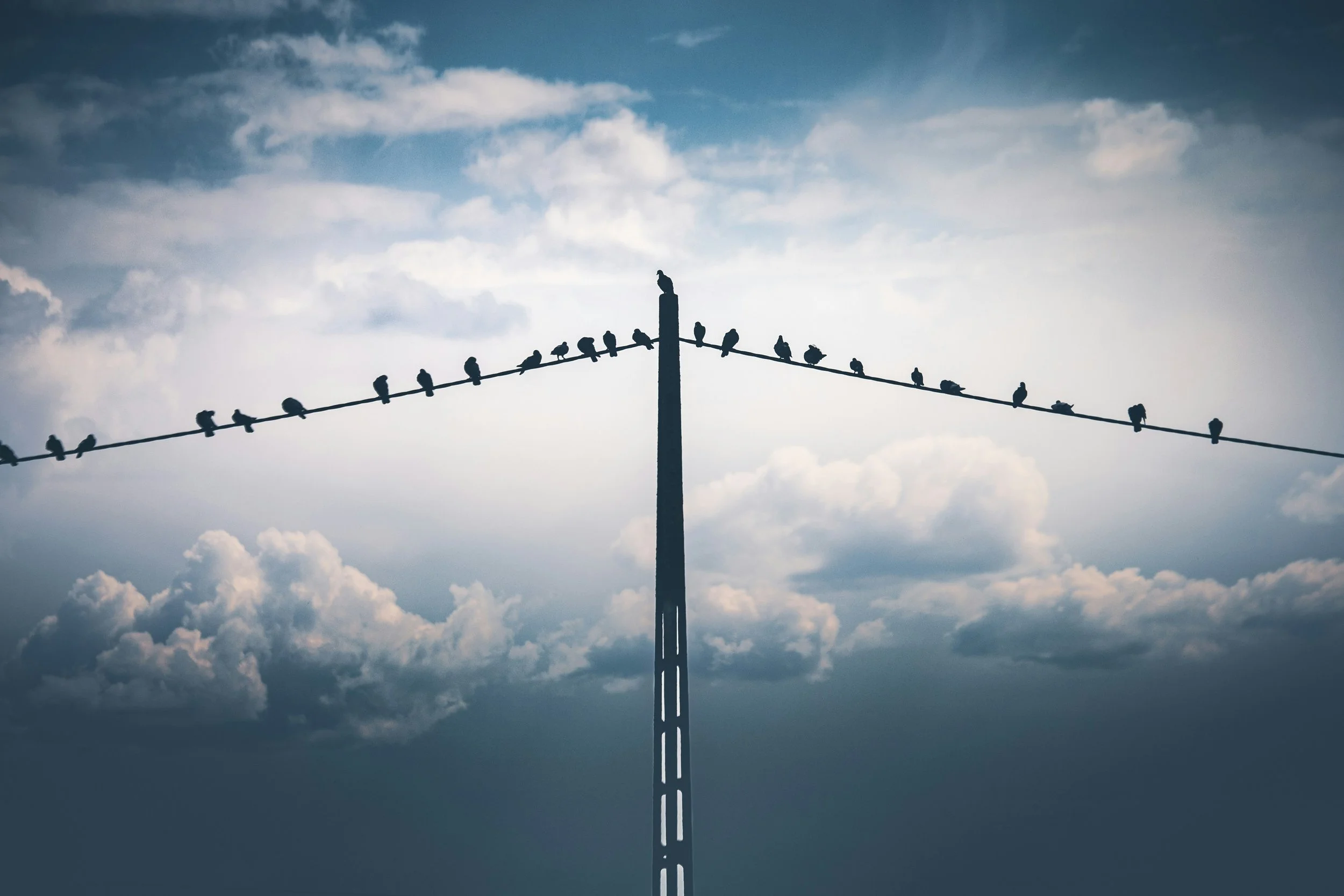 CURIOSITY OVER CONFRONTATION: A CEO’S GUIDE TO EXECUTIVE RESISTENCE 