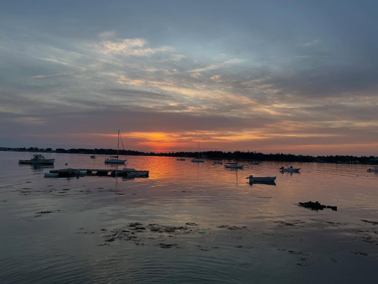 Thank you earth for providing me with so many experiences that filled me with gratitude, awe, wisdom, and peace.