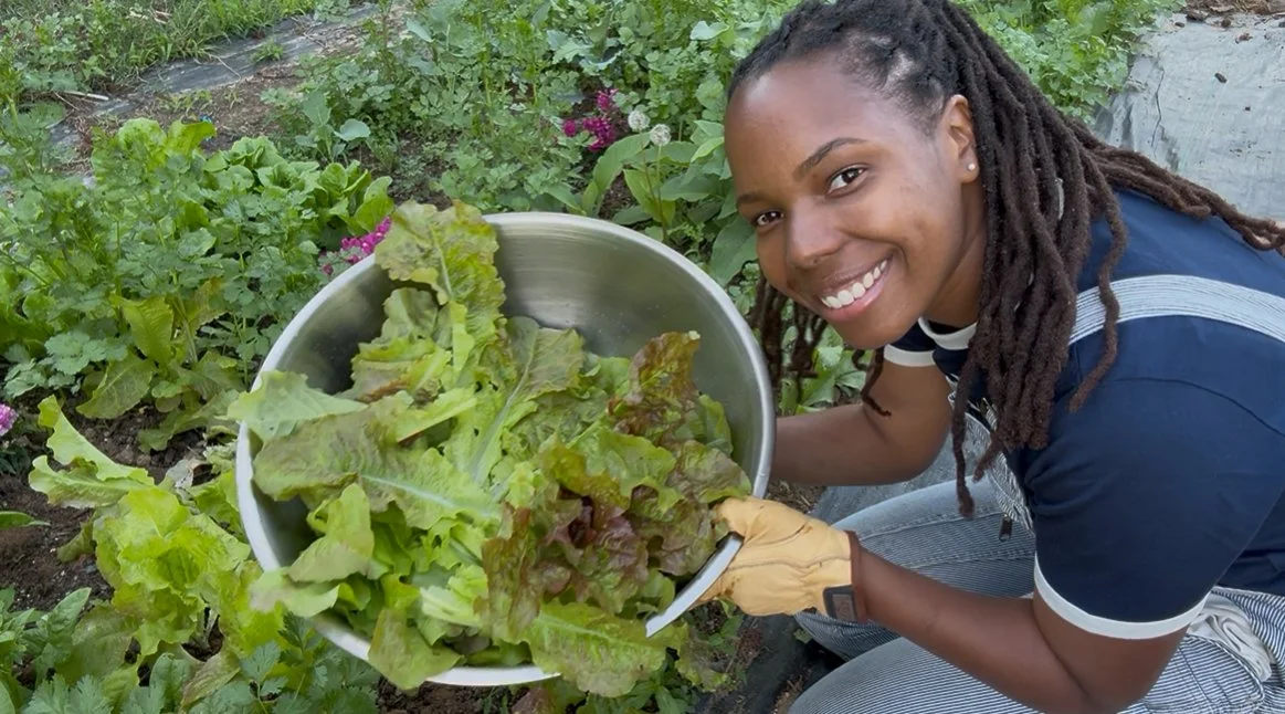 🥬 Beginner-Friendly Greens to Grow This Spring