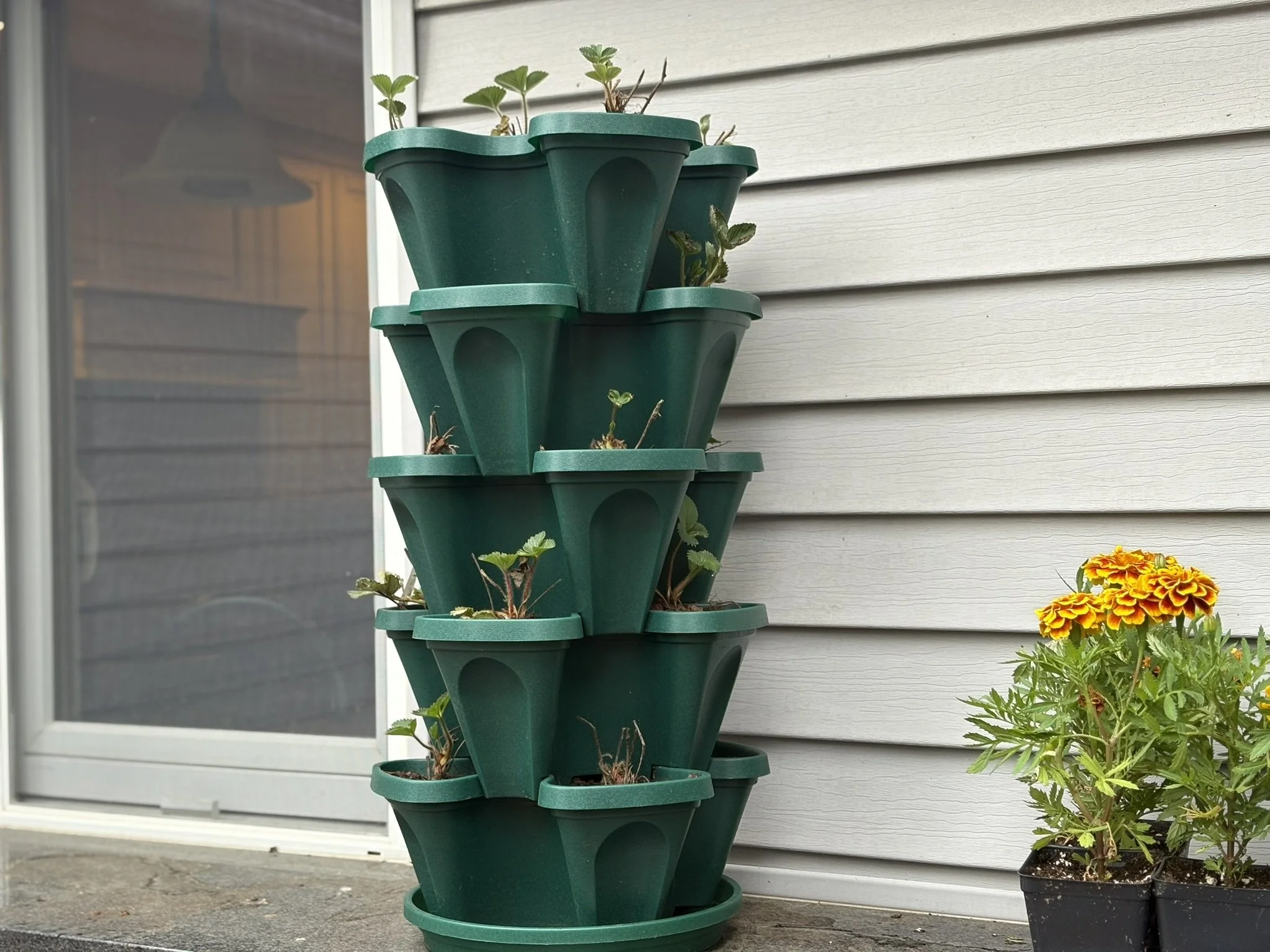 Vertical Gardening on a Budget: Mr. Stacky Planter Review