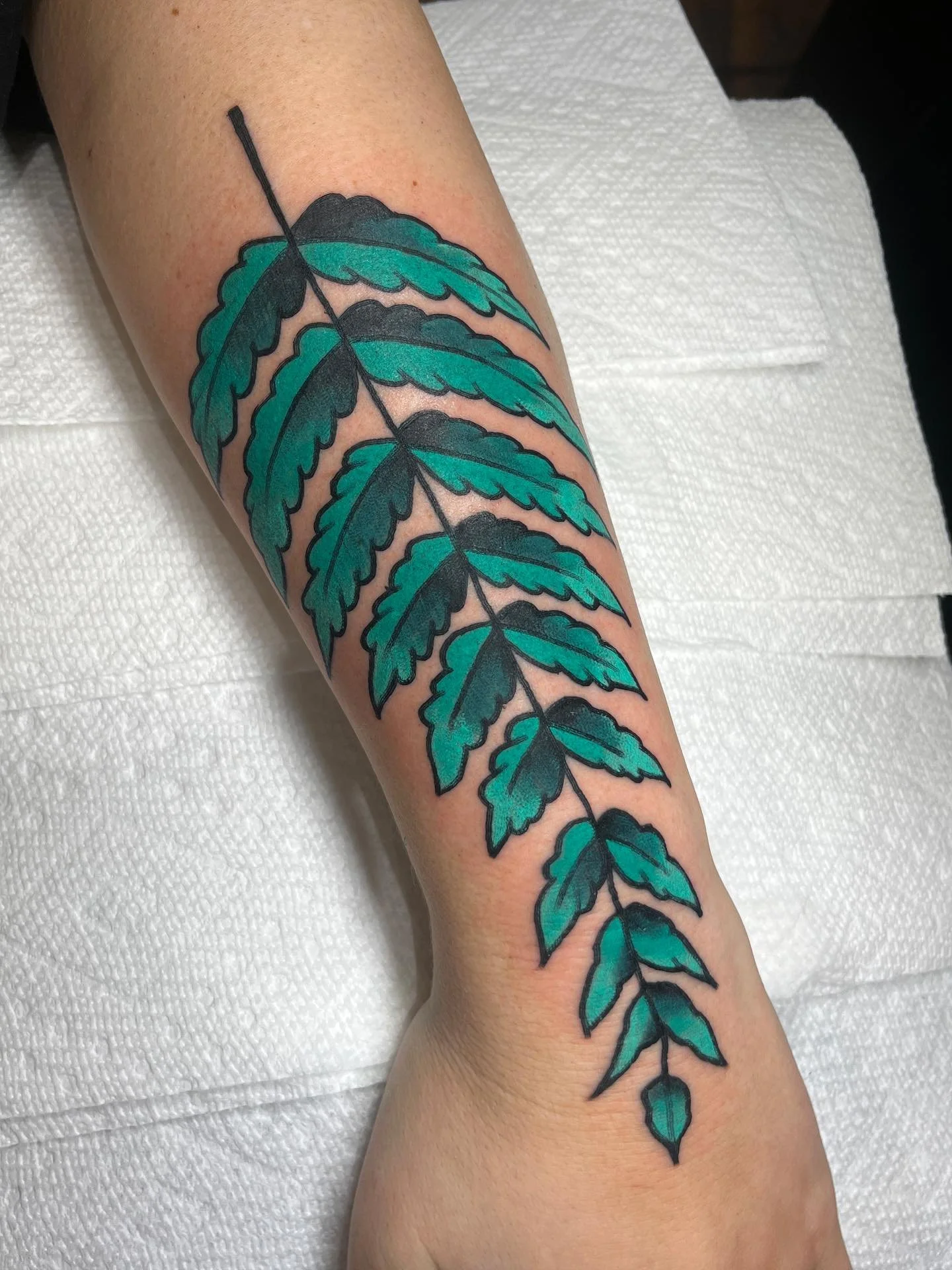 🌞Plants done two ways🌞
Some plants done from the last couple days! As always thank you for getting tattooed to everyone who gets tattooed! Much love. Made at the lovely @twinsunsdurham find me also @twinsunschapelhill 
BOOKING LINK IN BIO BOOKING N