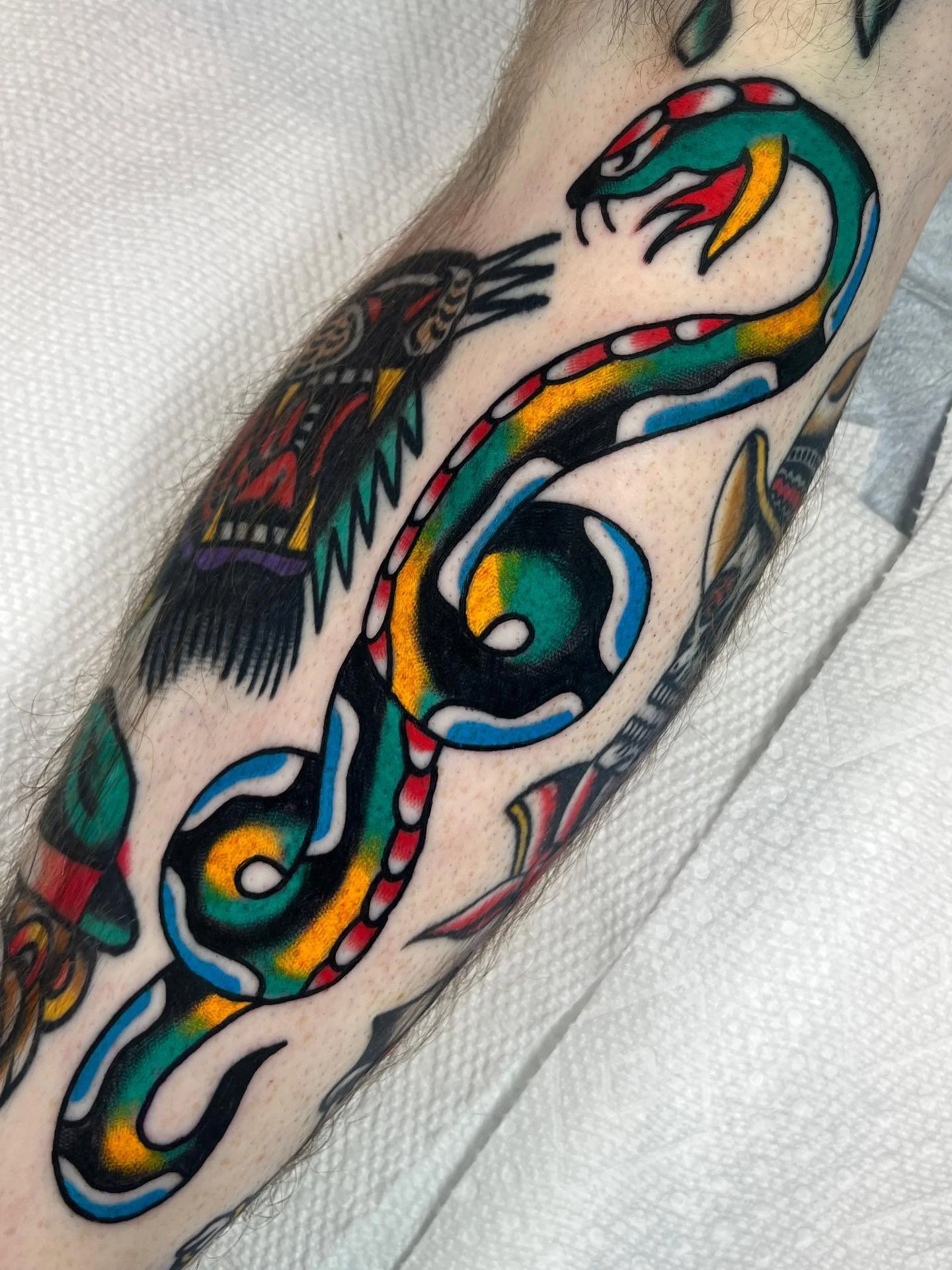 🌞TATTOO🌞
1. gap filler snake
2. Healed moon from august 2024 and gap bug
3. Various healed and fresh flash and tats
4. Dentures in the ditch
5-7. Flash
8-9. I like laying on the floor

NOW BOOKING! LINK IN BIO! 
Taking appointments for @twinsunsdur