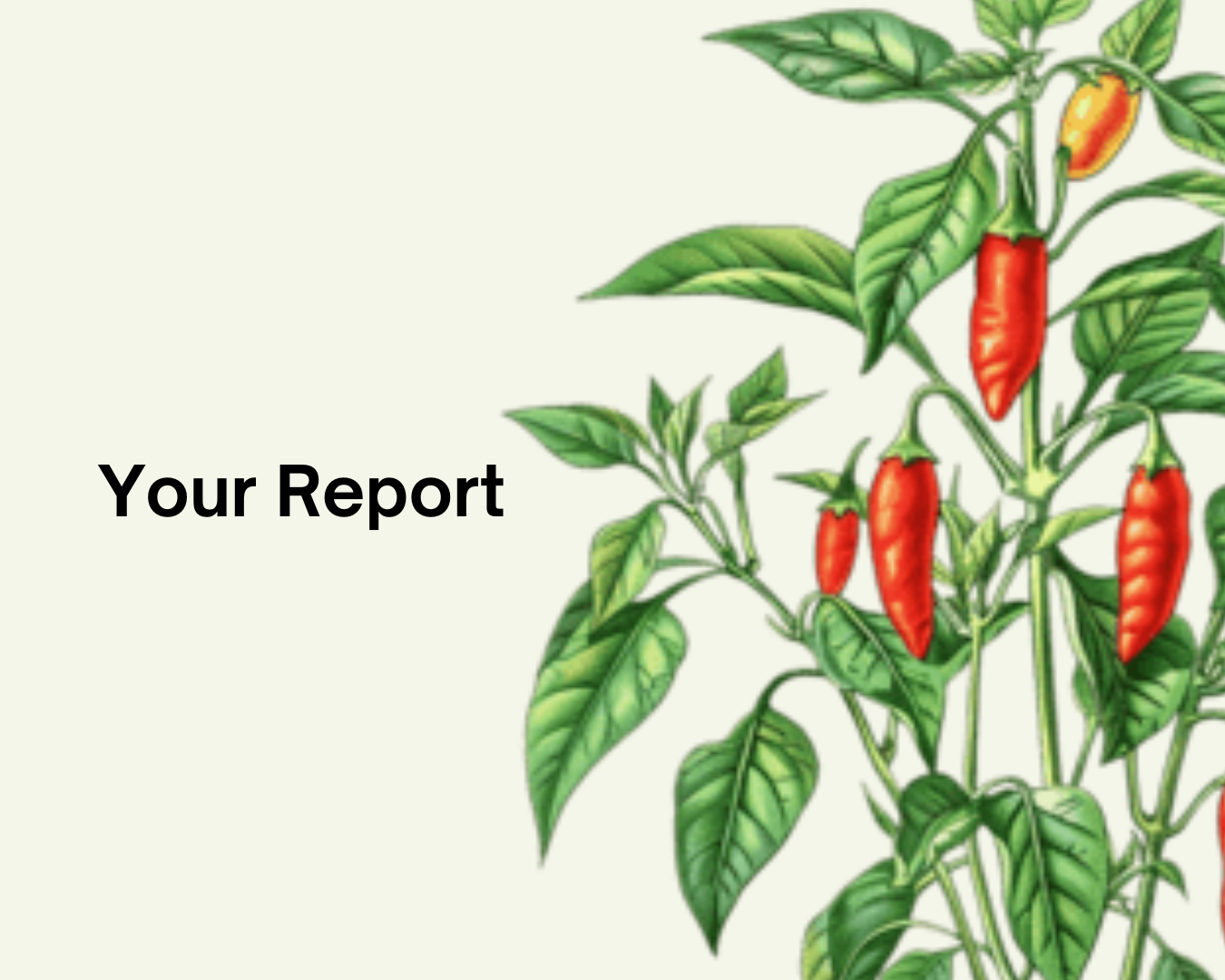 Where & What Report