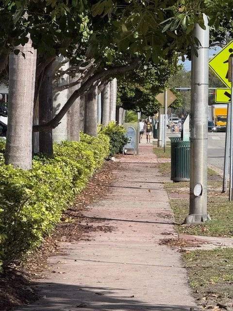 March Newsletter sidewalk.jpeg