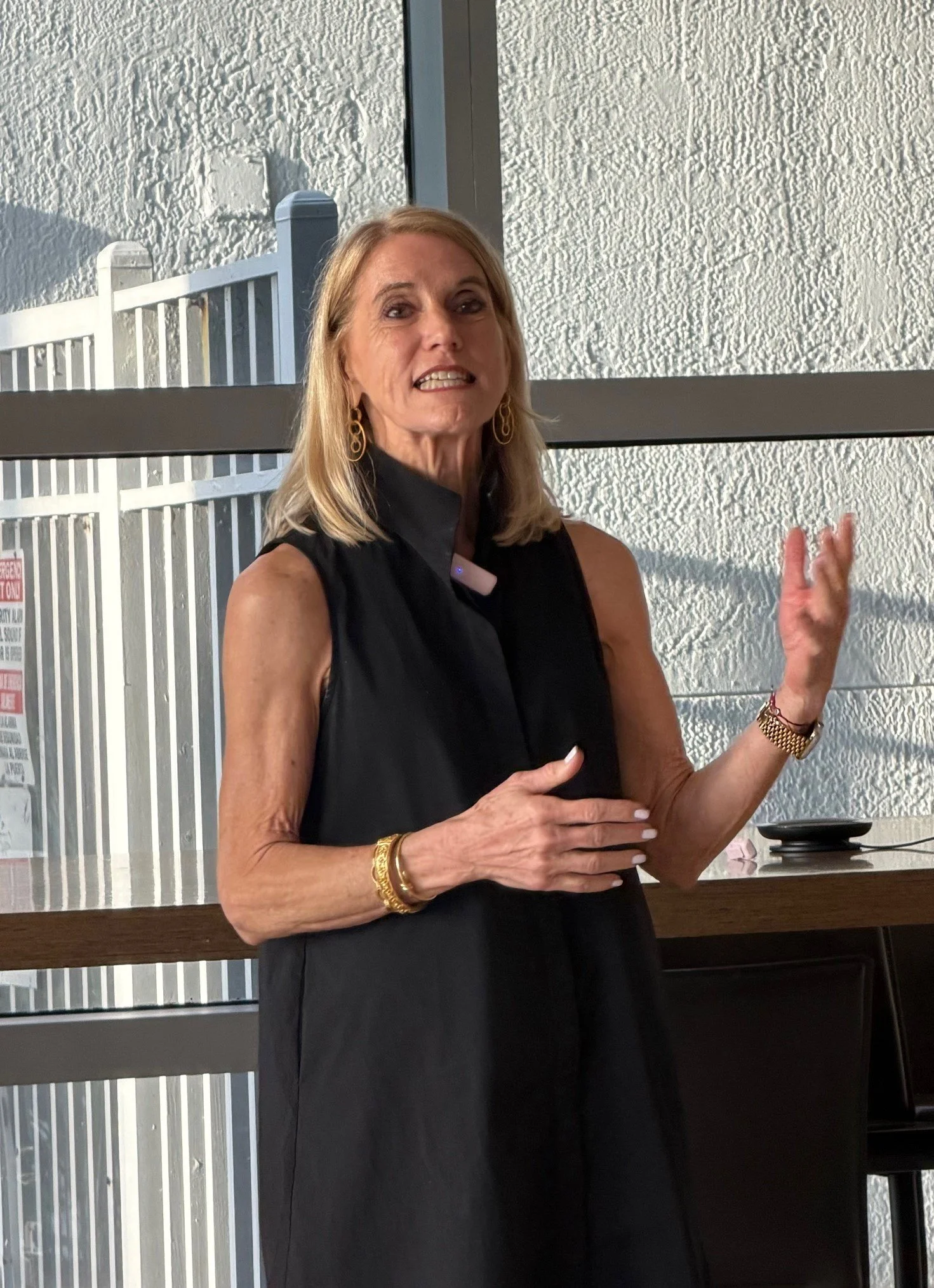 3/16/2025 SoBe West Community Meeting - Summary Notes