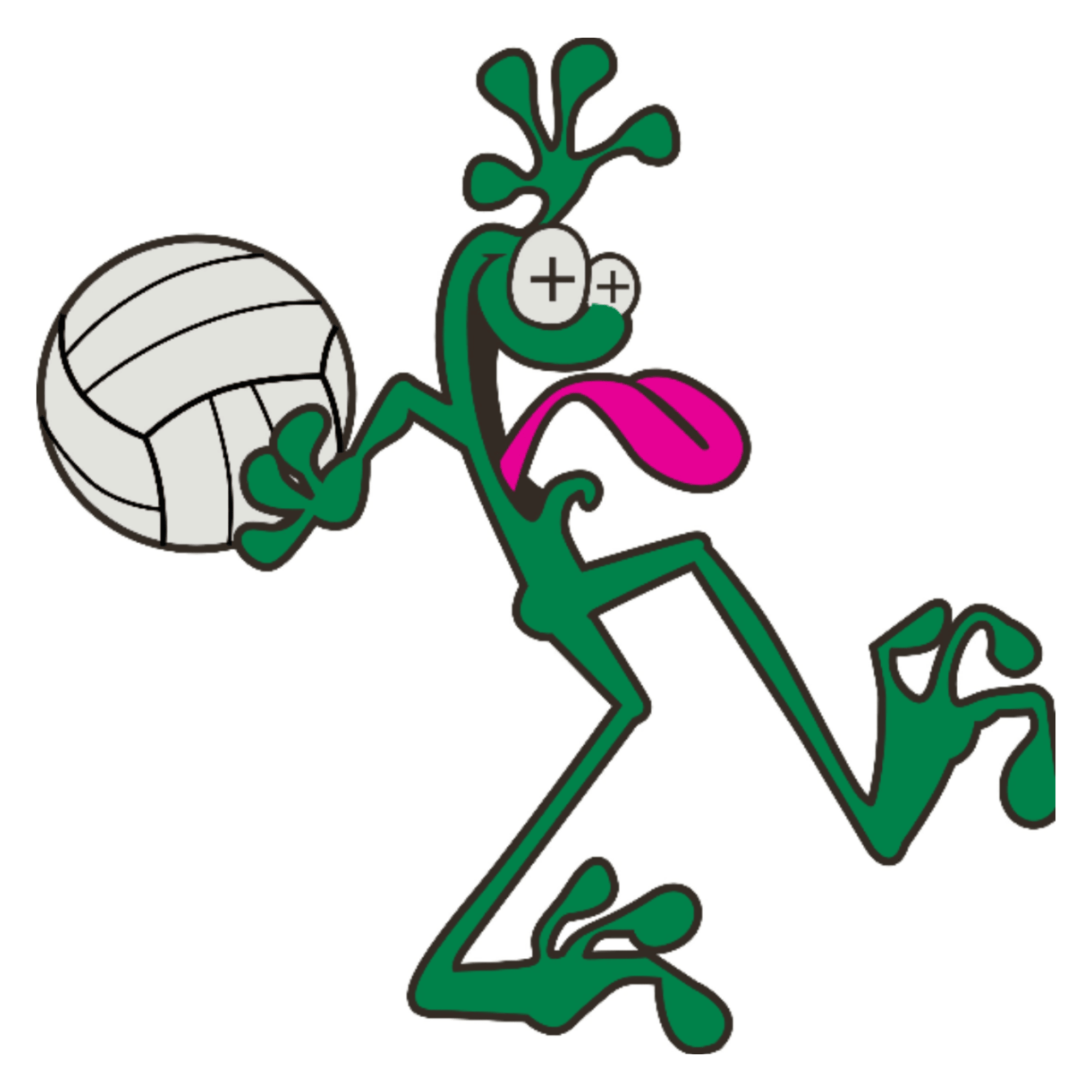 Volleyball Clubs | Michiana Volleyball