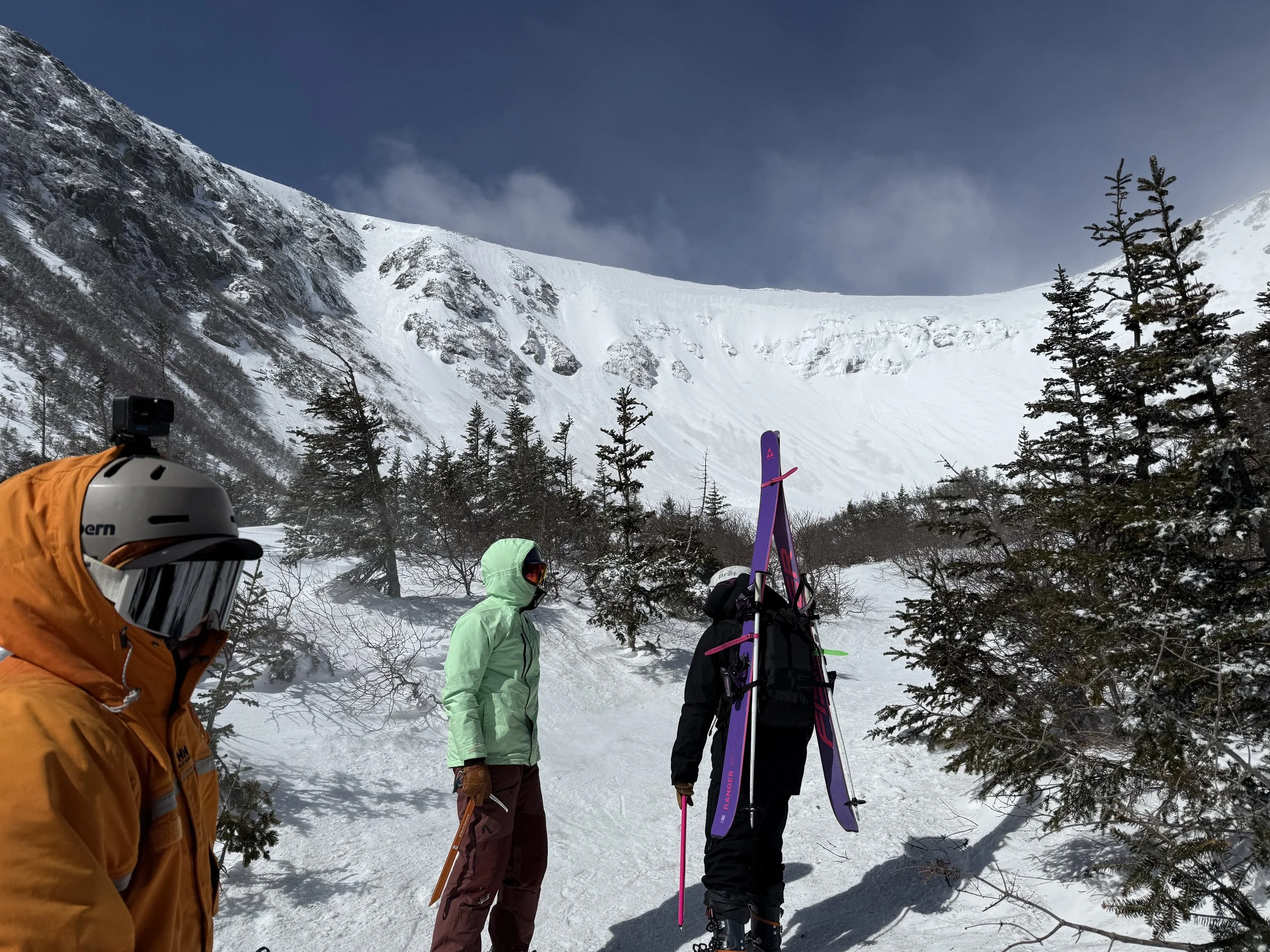 The Ski Collectice Vol .02