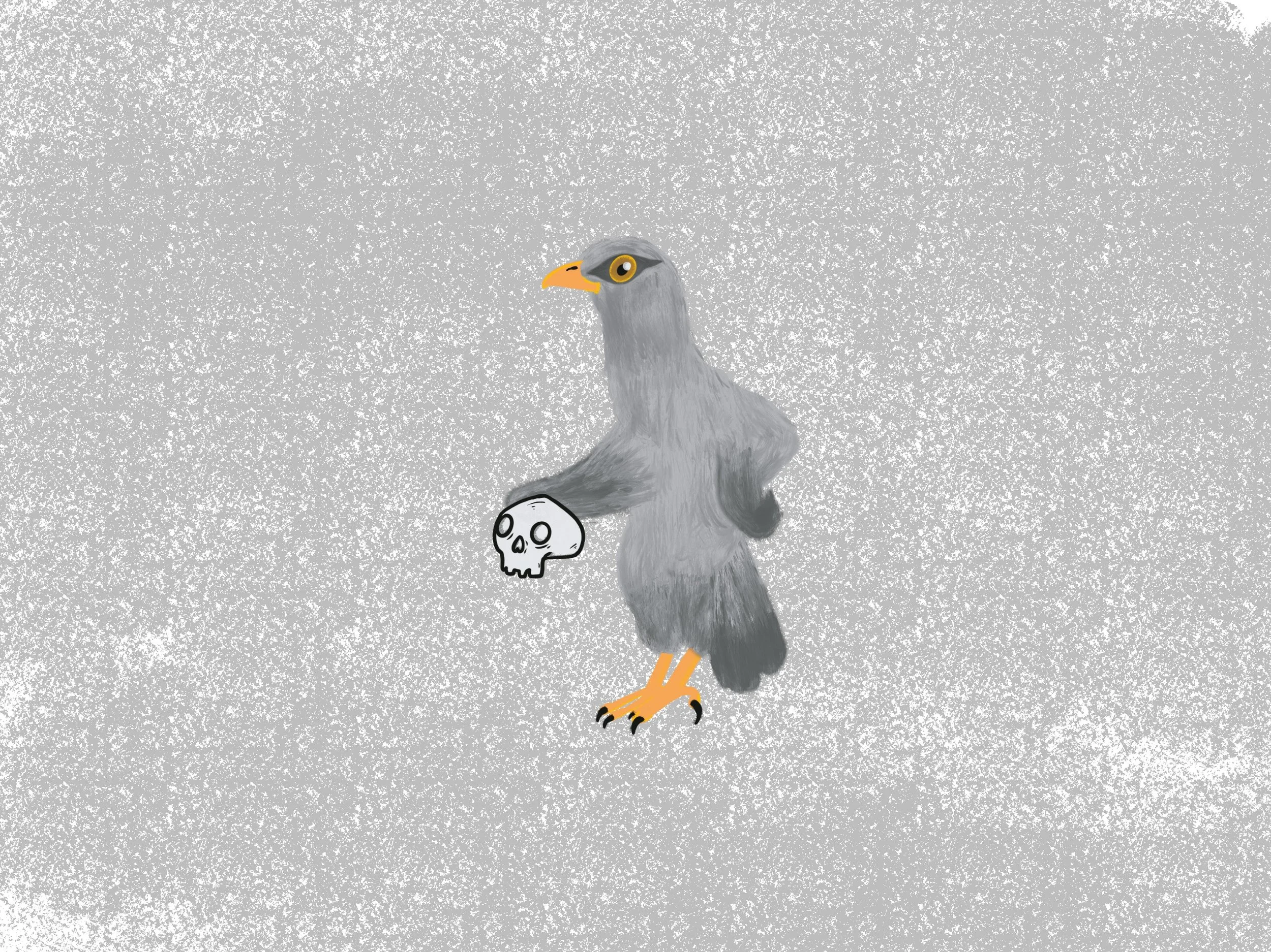 Bird Print
